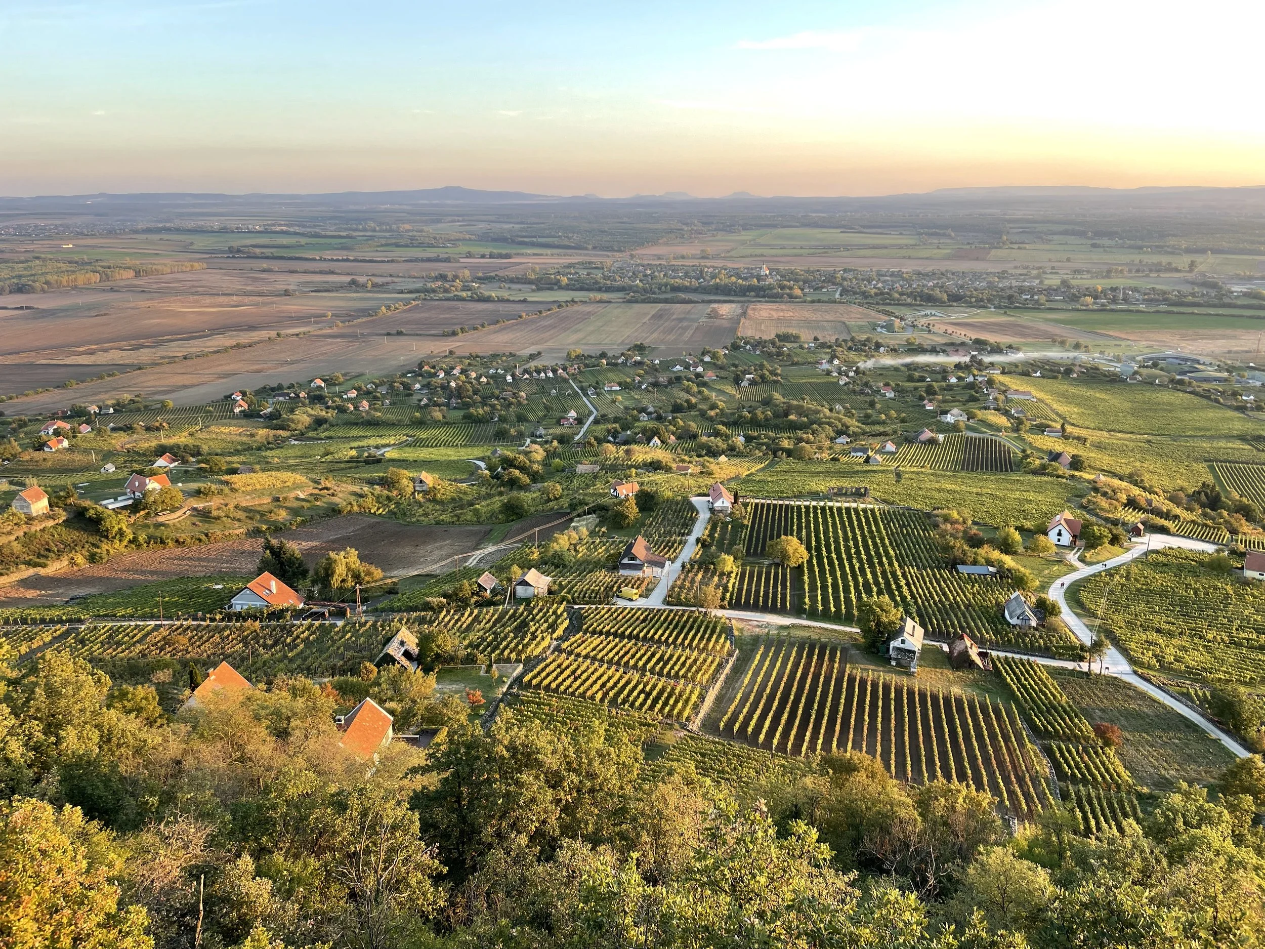 Szőlőparcellák előzetes kontúrmérése a Somlón