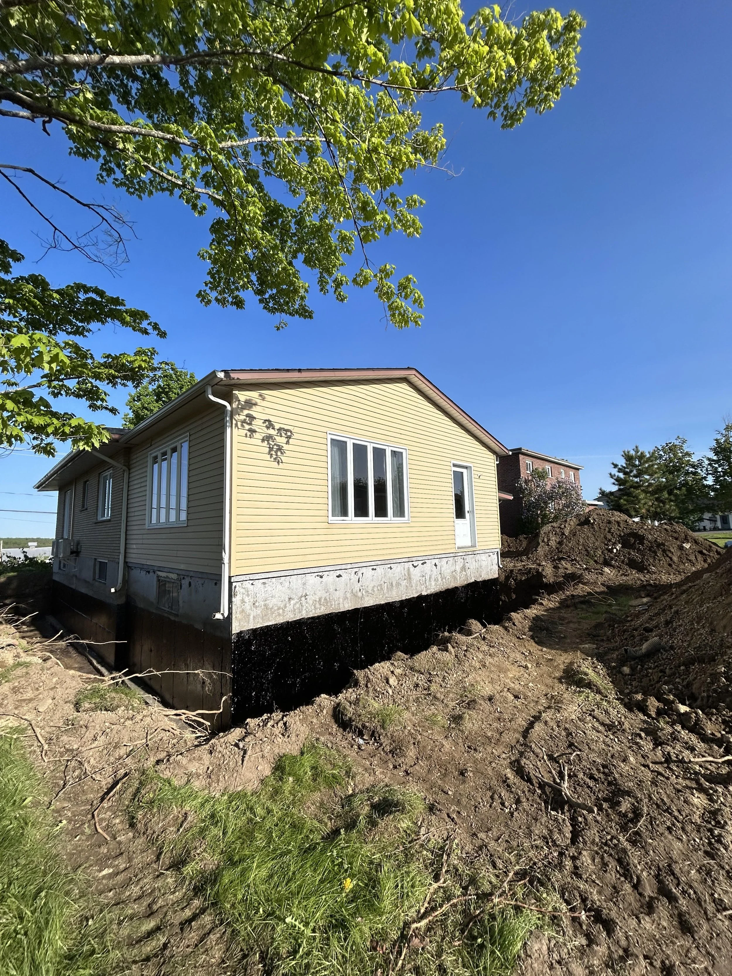 Projet : drain francais