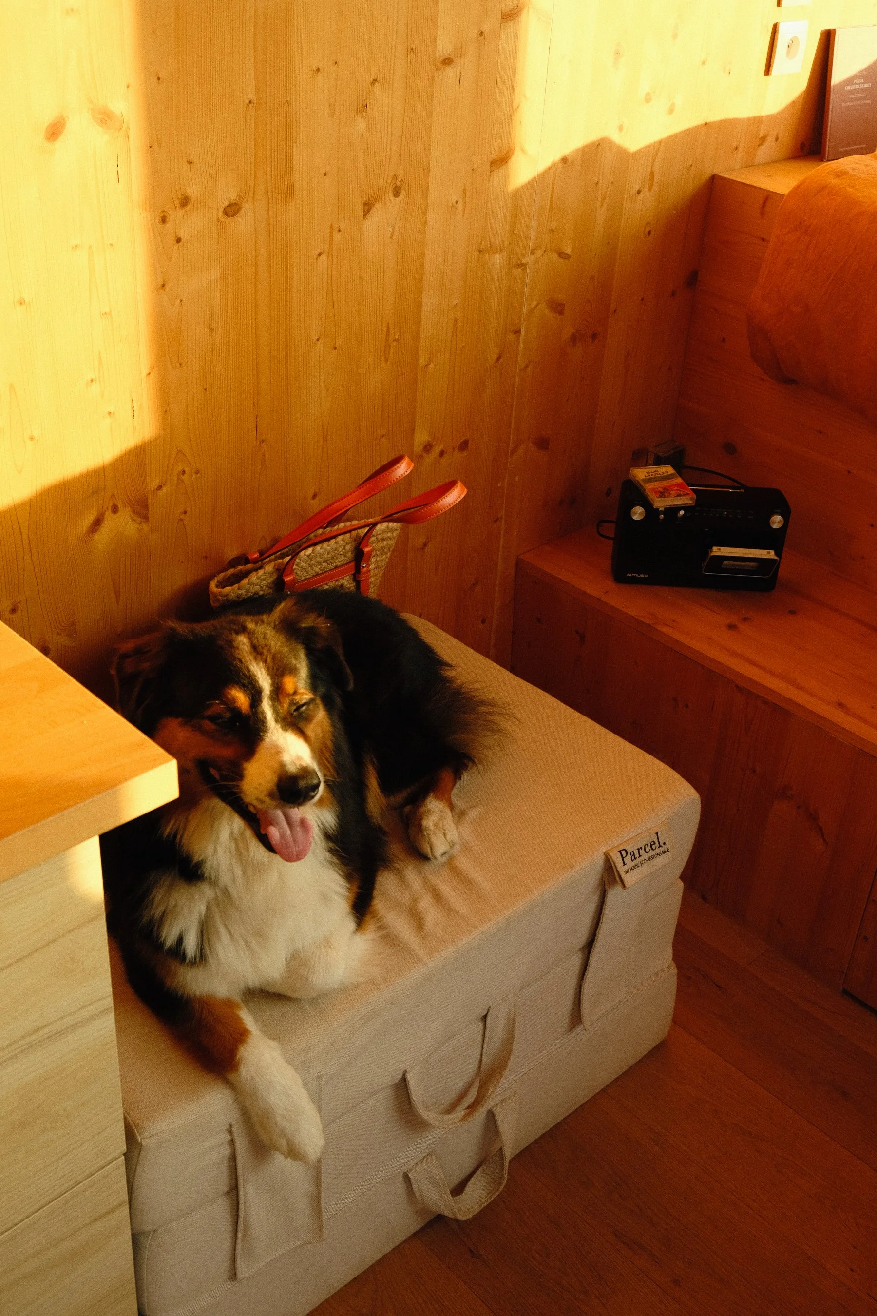 Edit ++ 2700MP-20.jpg