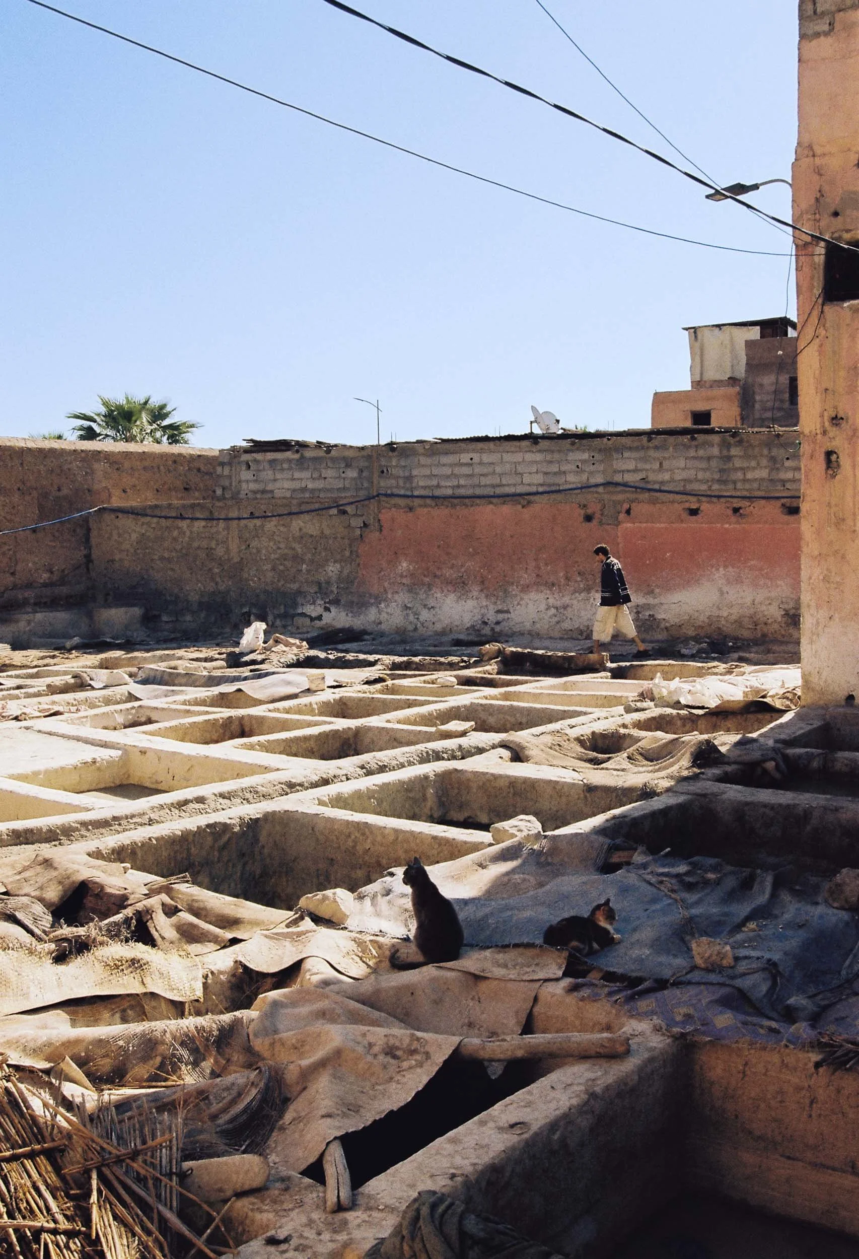 Edit ++ web-1-165.jpg