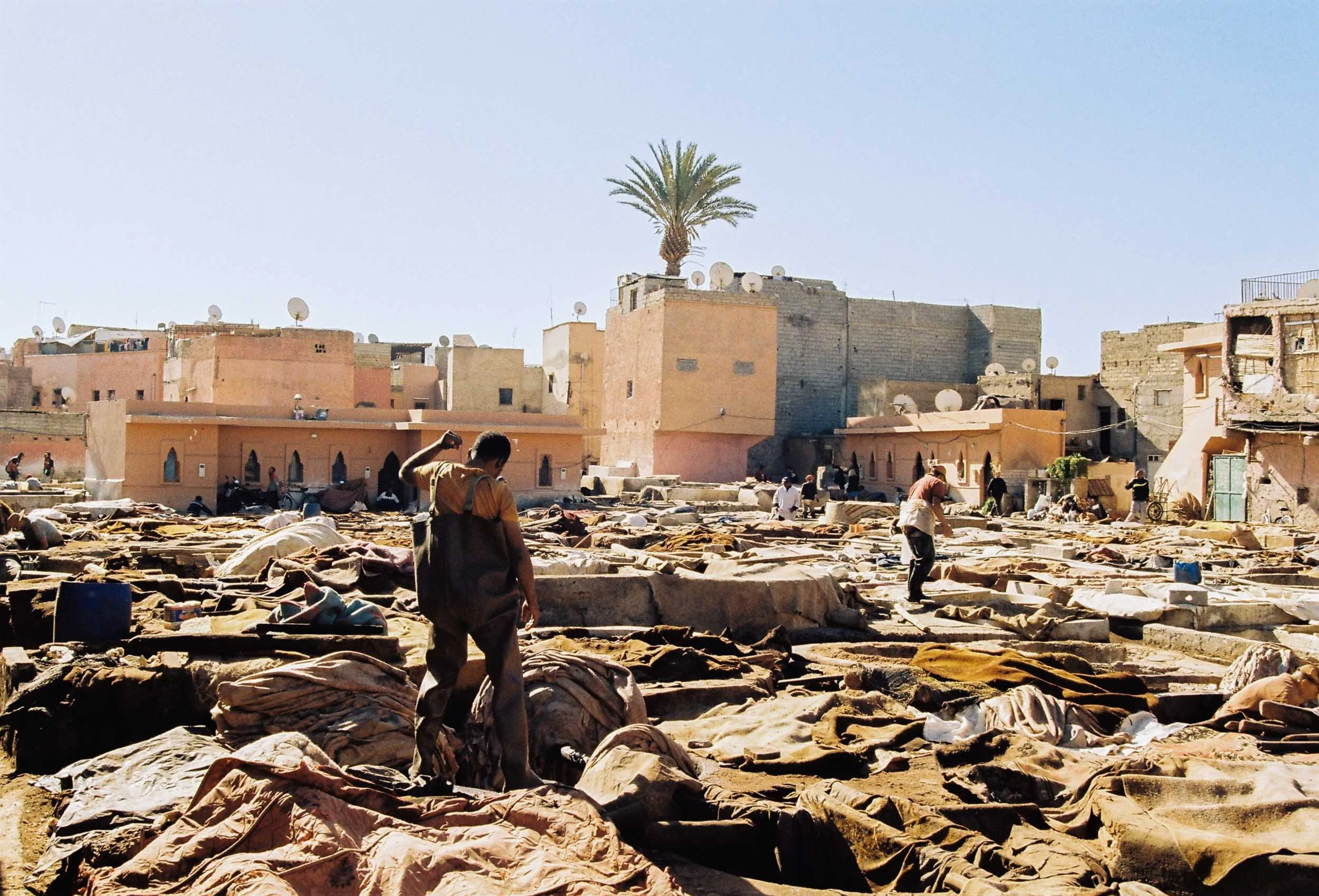 Edit ++ web-1-90.jpg