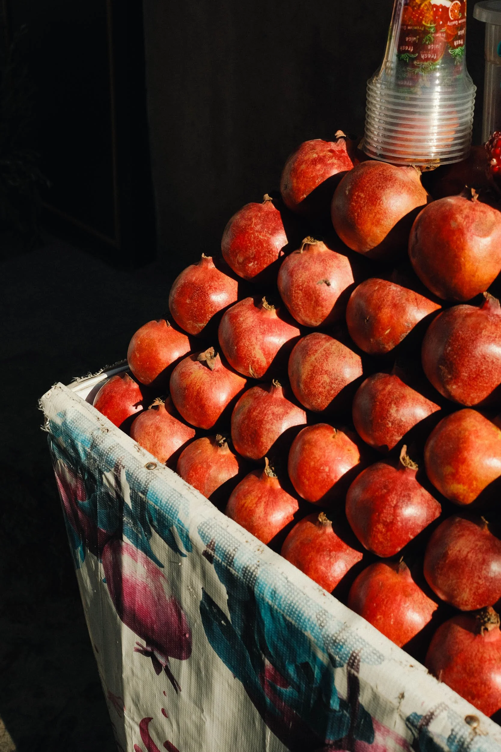 Edit ++ web-1-73.jpg