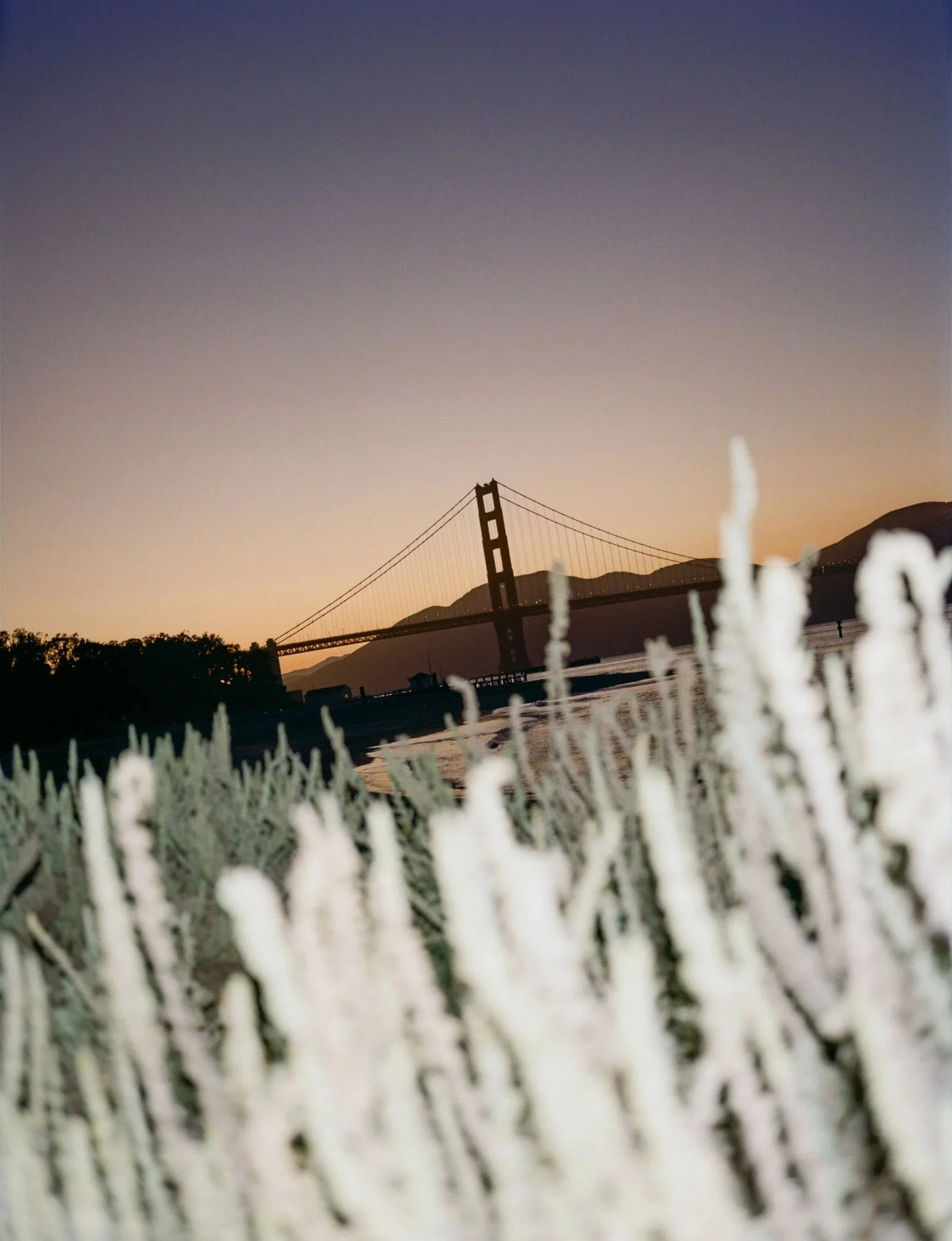 Edit+%2B%2B+web-10-2.jpg