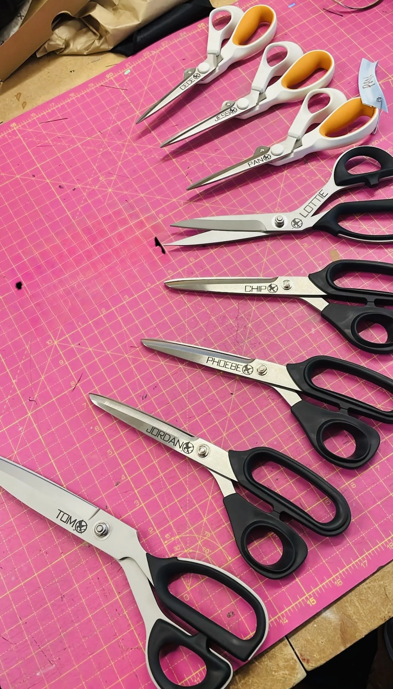 Six pairs of embroidery scissors with black handles and silver blades, each labeled with different names or words, are arranged on a pink cutting mat. The scissors are labeled: TOM, JORDAN, PHOEBE, CHIP, LOTTIE, and PANE.