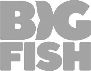Bold text reading 'BIG FISH' in gray.