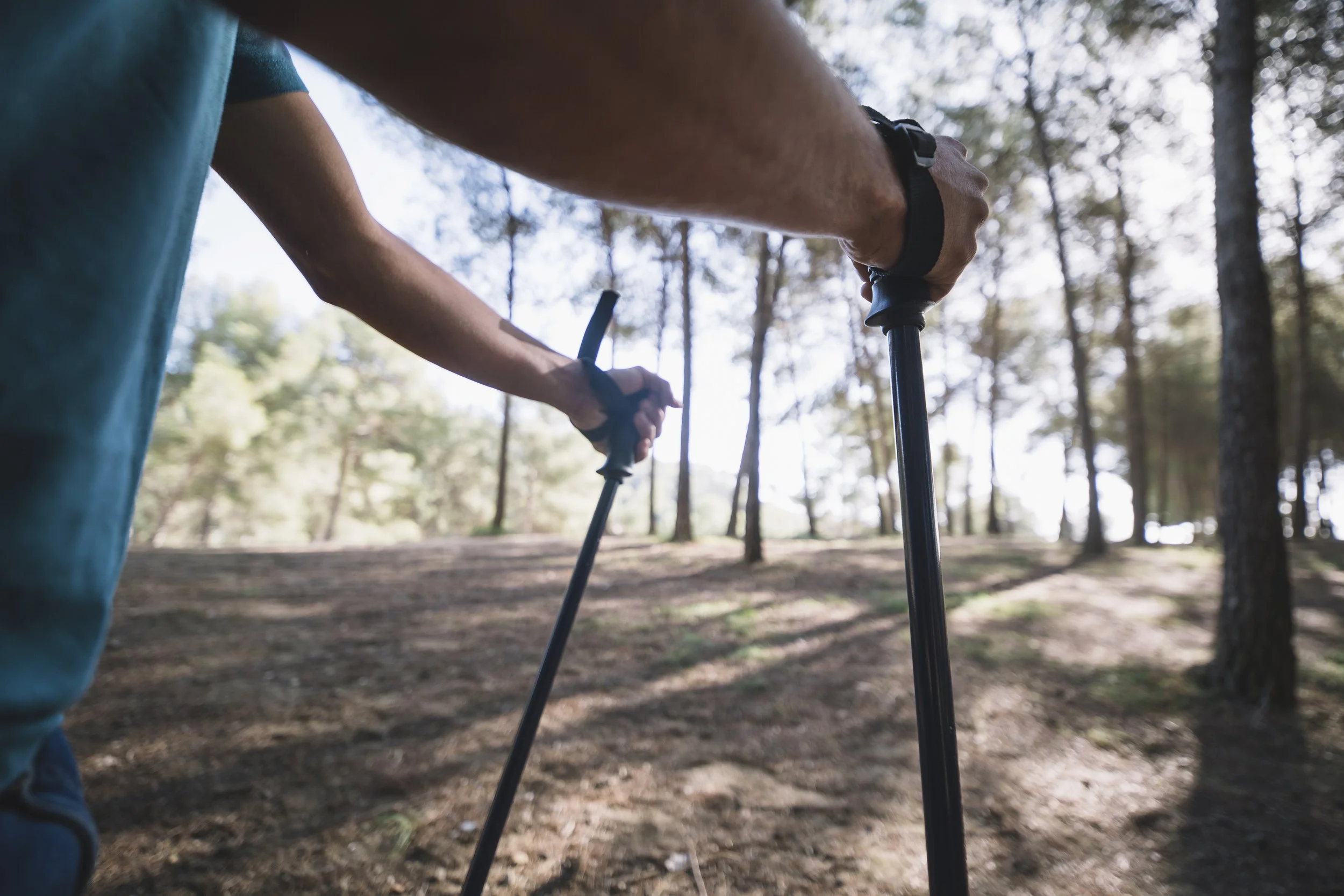 Nordic Walking News