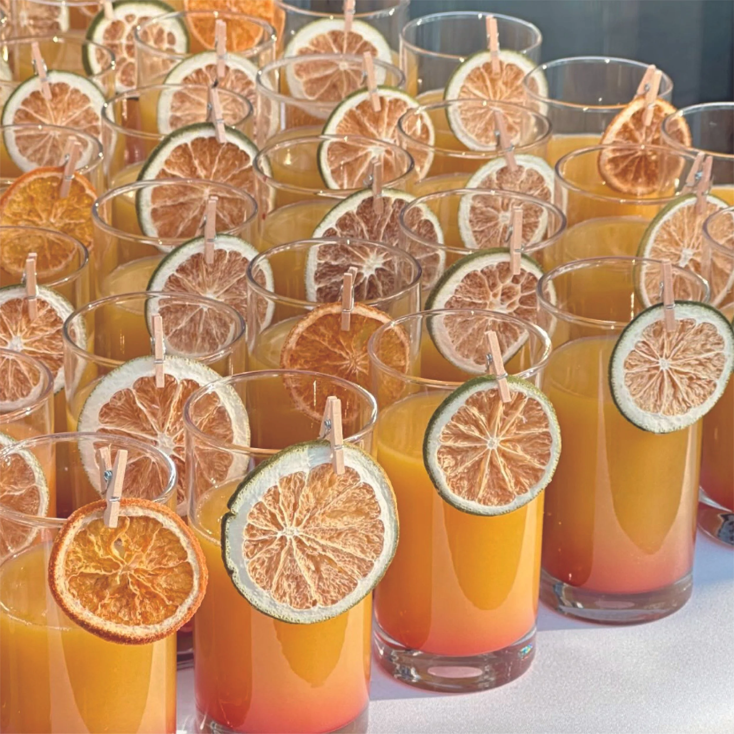 Glasses of orange-colored beverage with dried citrus slices garnishing the rims, arranged on a table.