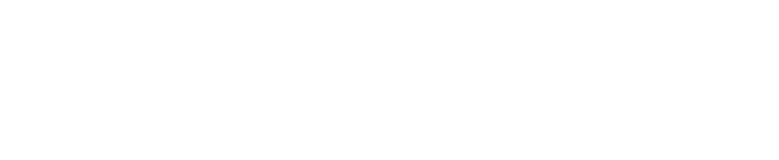 LEDGERLEX