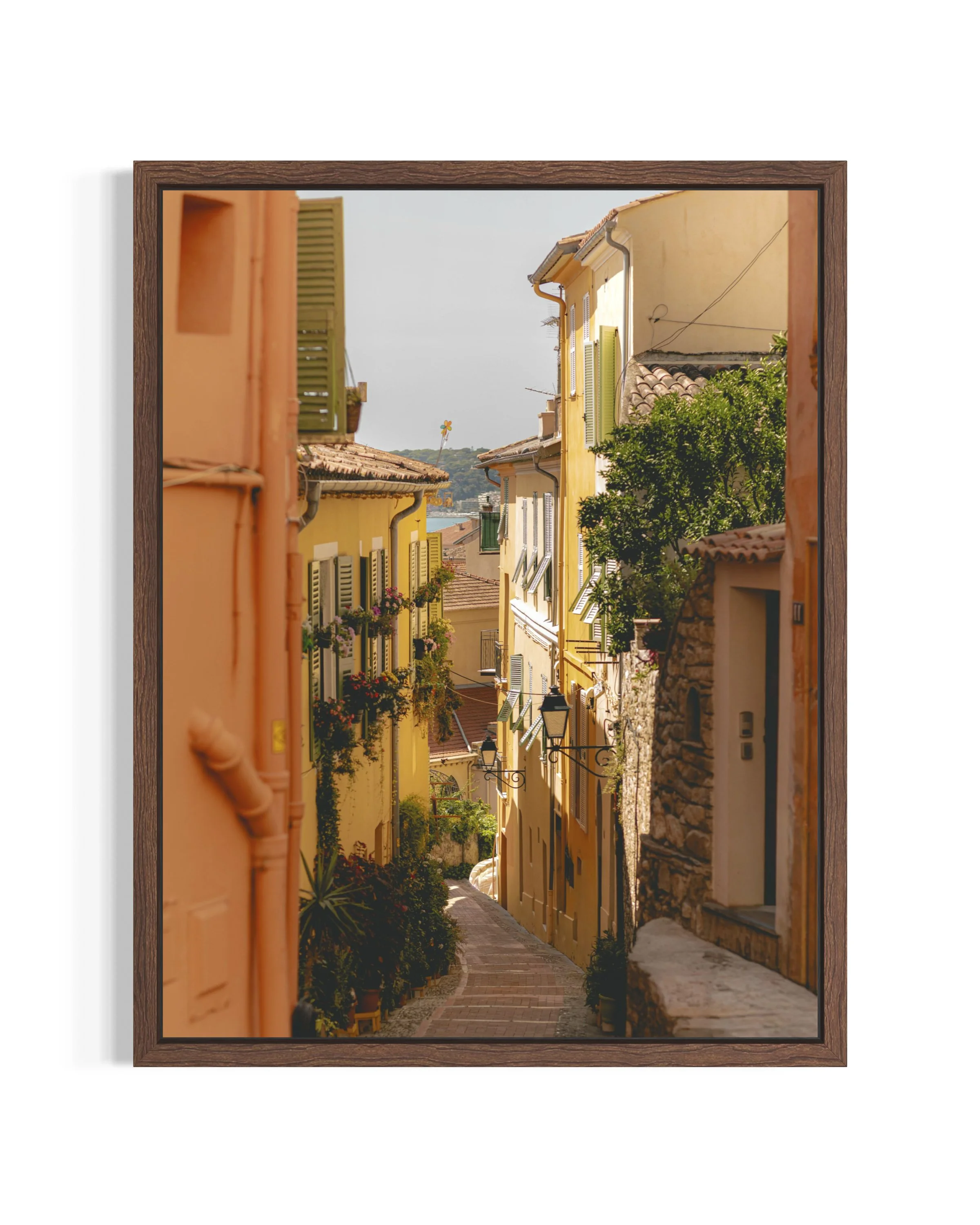 Along the Riviera · 28