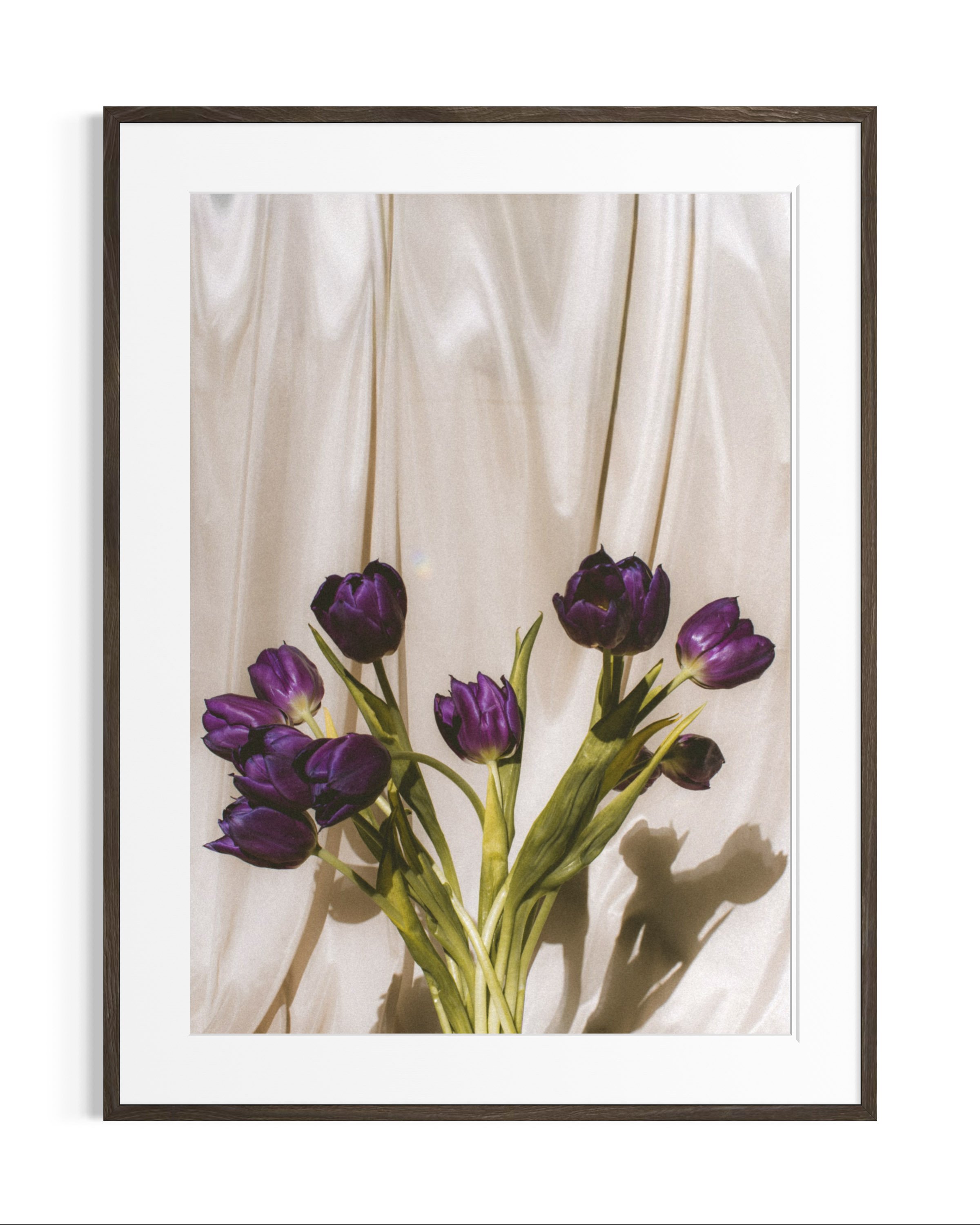 Still life studies · 3