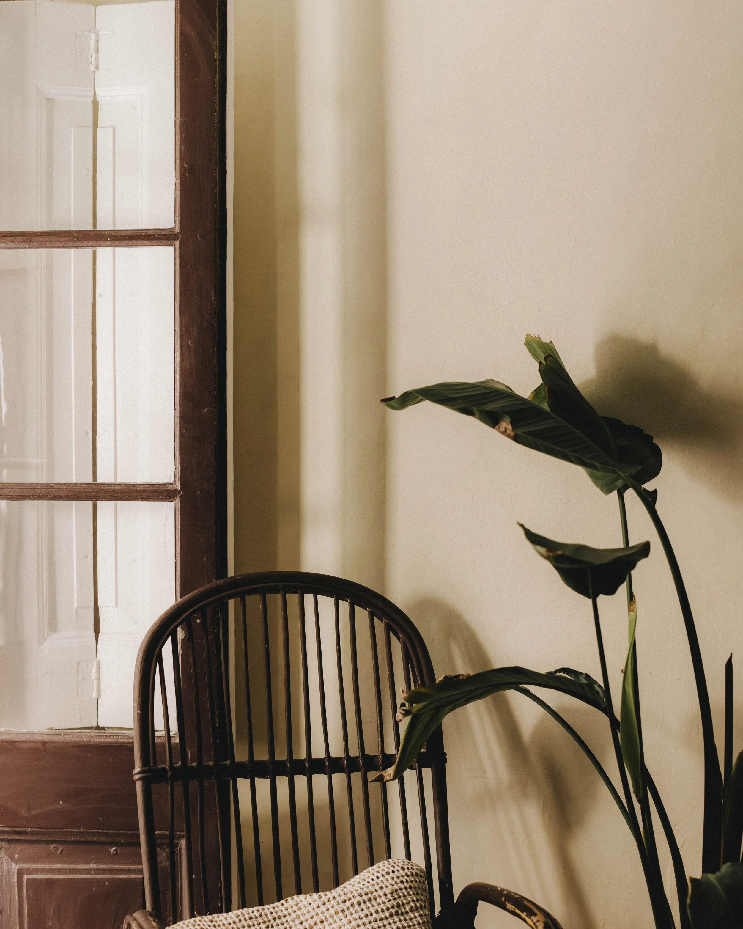 Assaoradors ·47 - Print.jpg