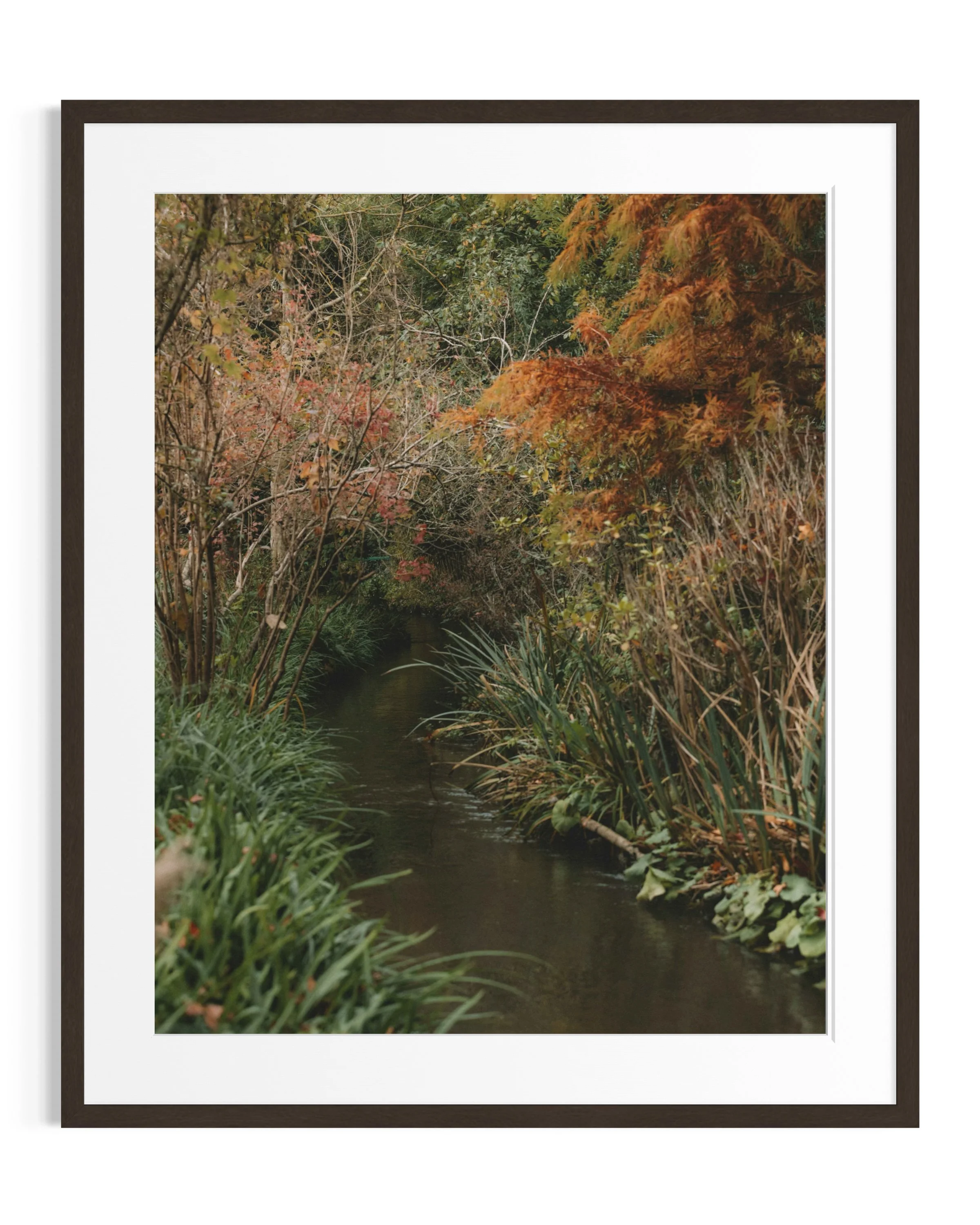 Giverny in amber tones · 20