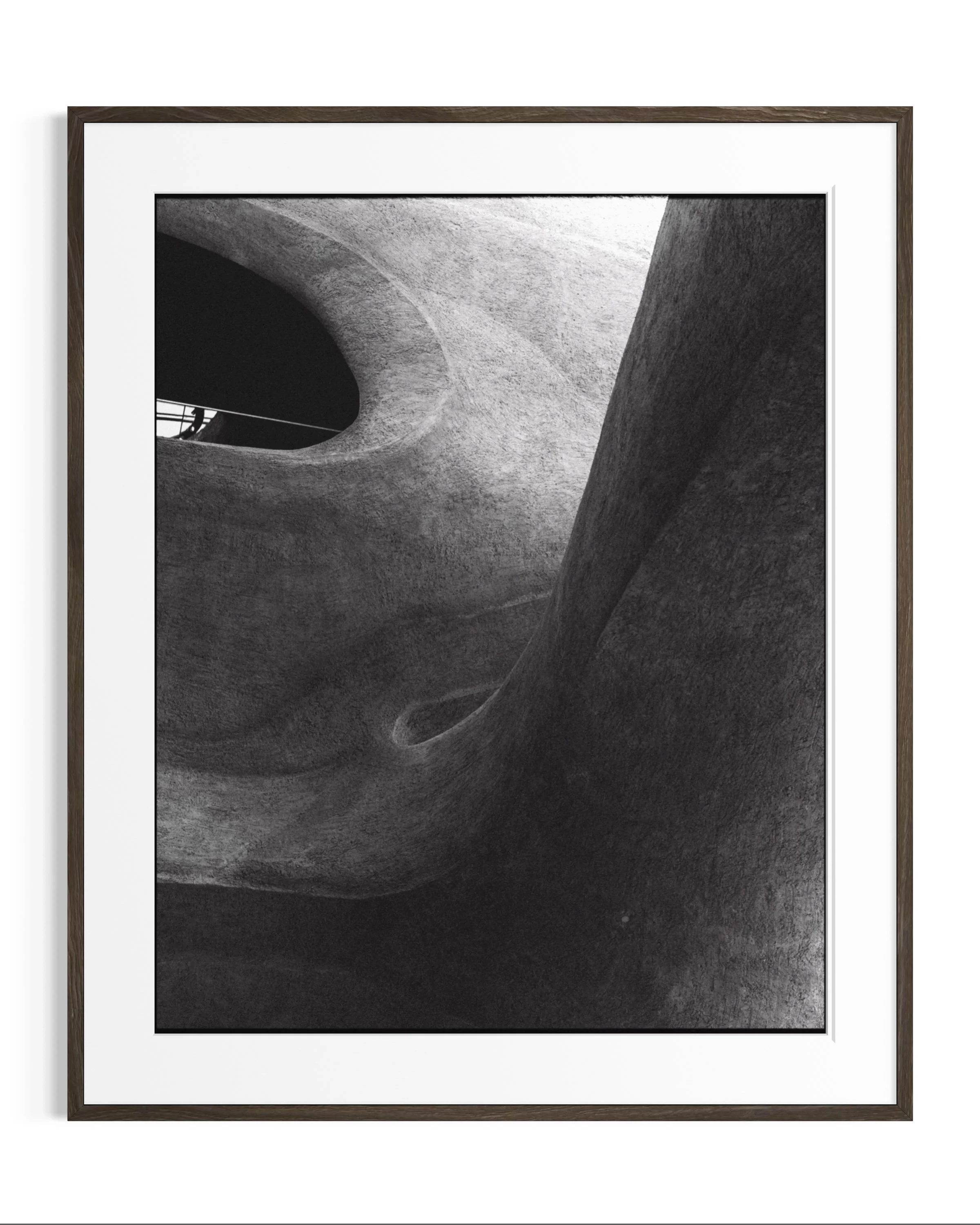 Forms of Natural History · 6