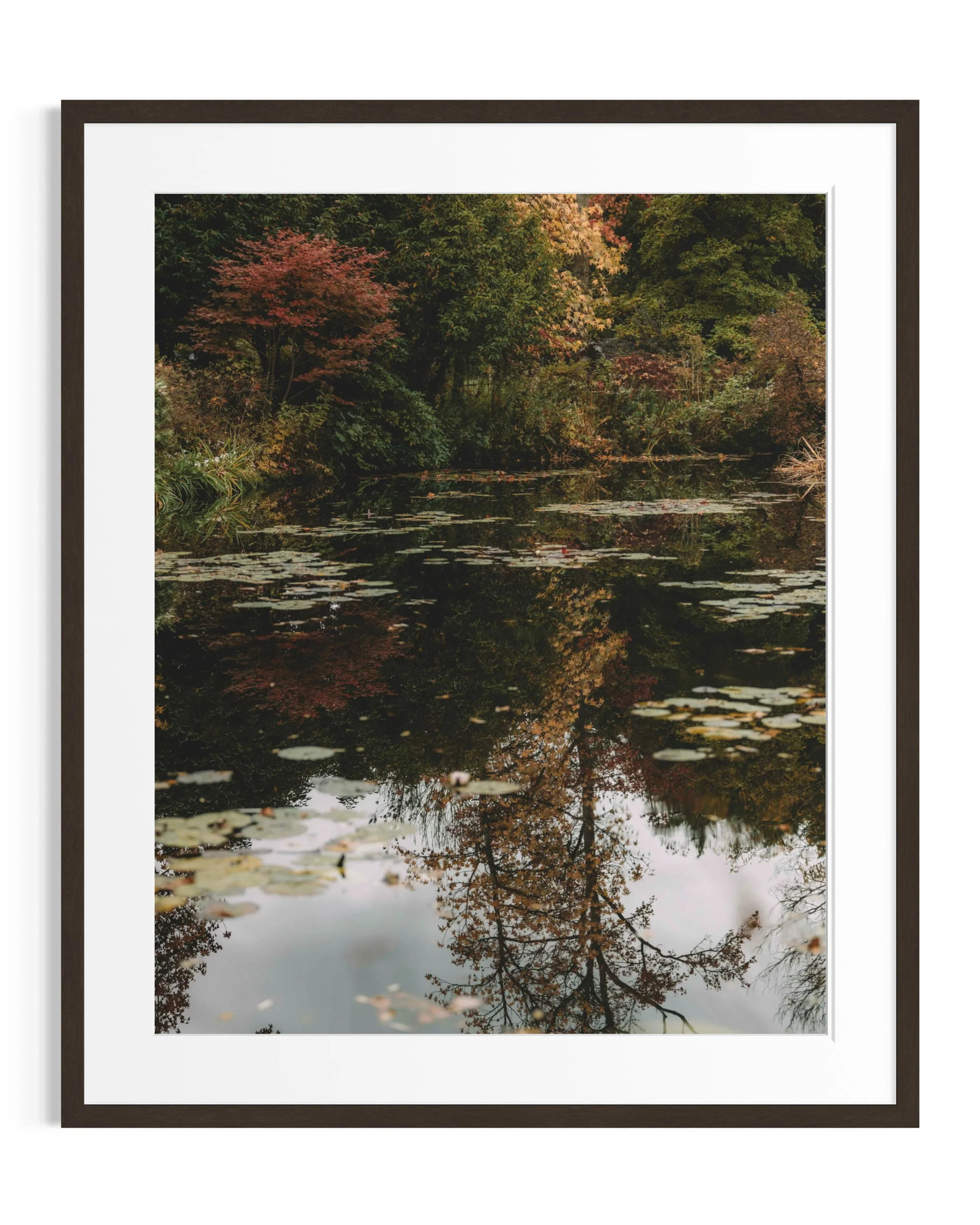 Giverny in amber tones · 9
