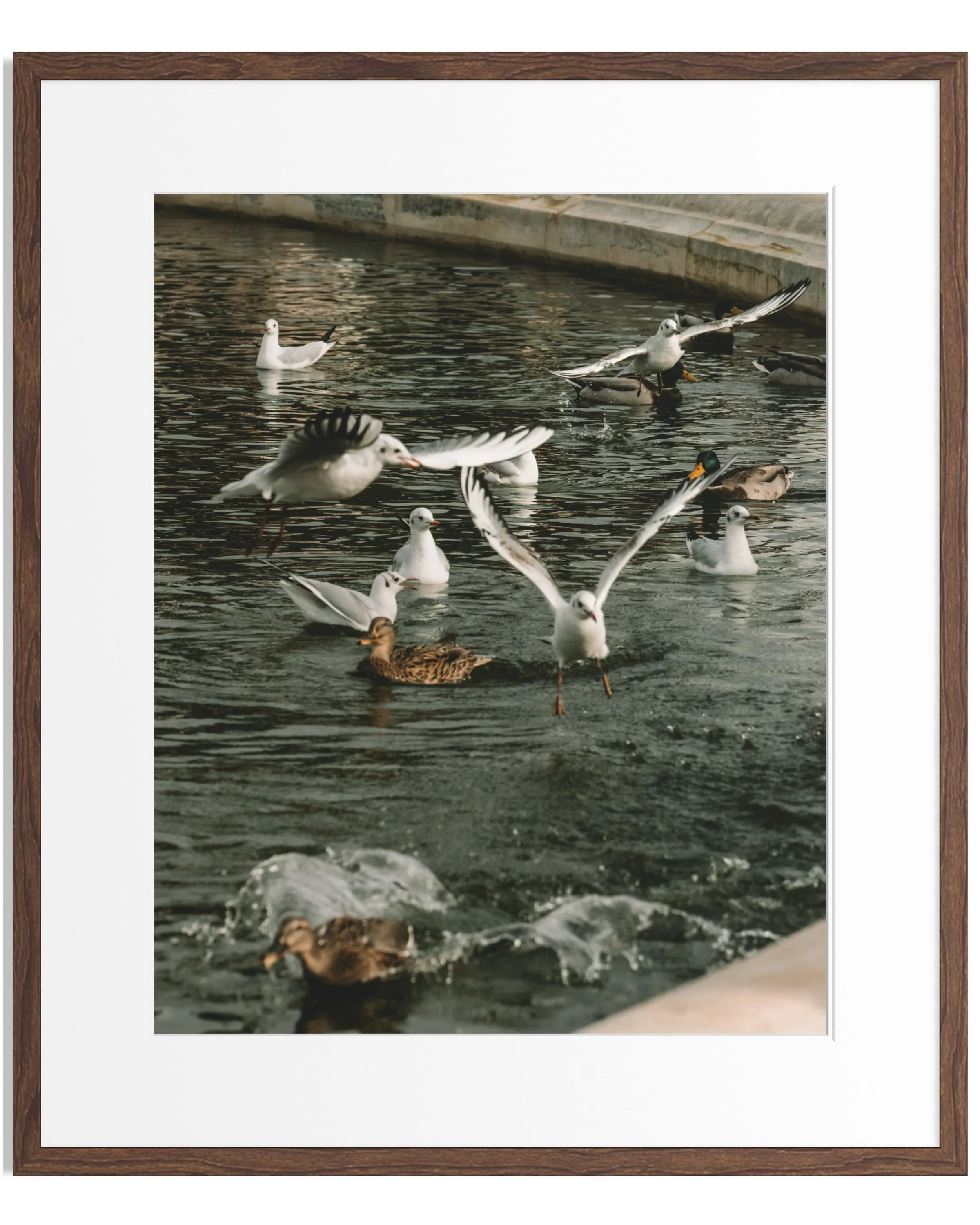 Notes from Paris · 23