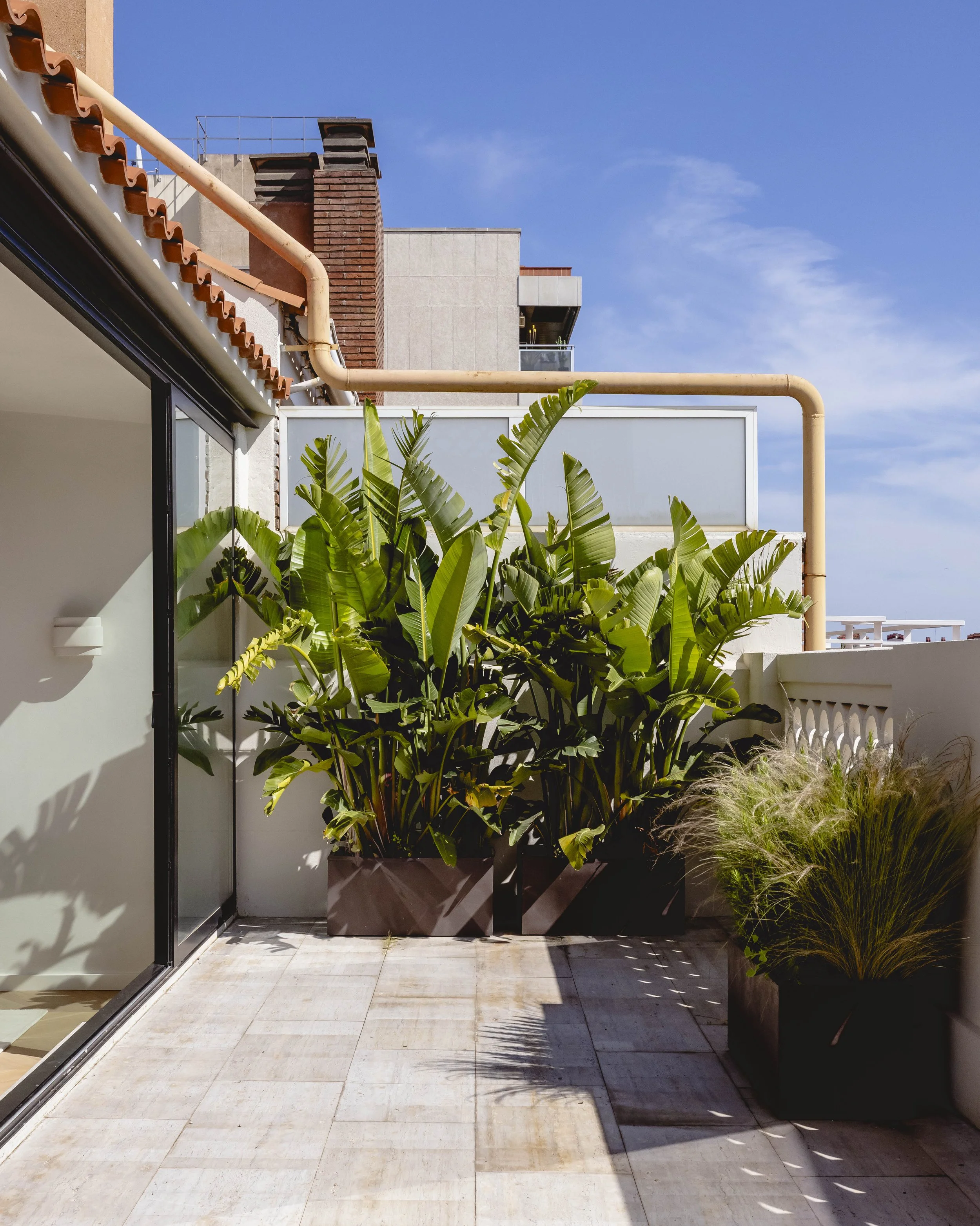 Paseo Sant Joan ·12.jpg