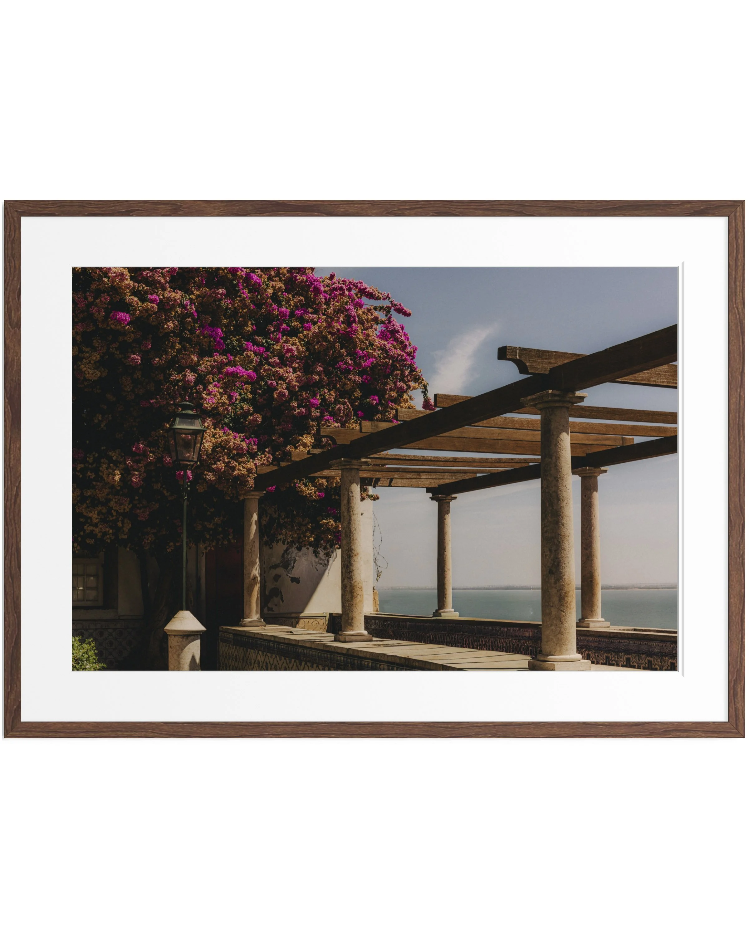 Lisbon Fragments · 5