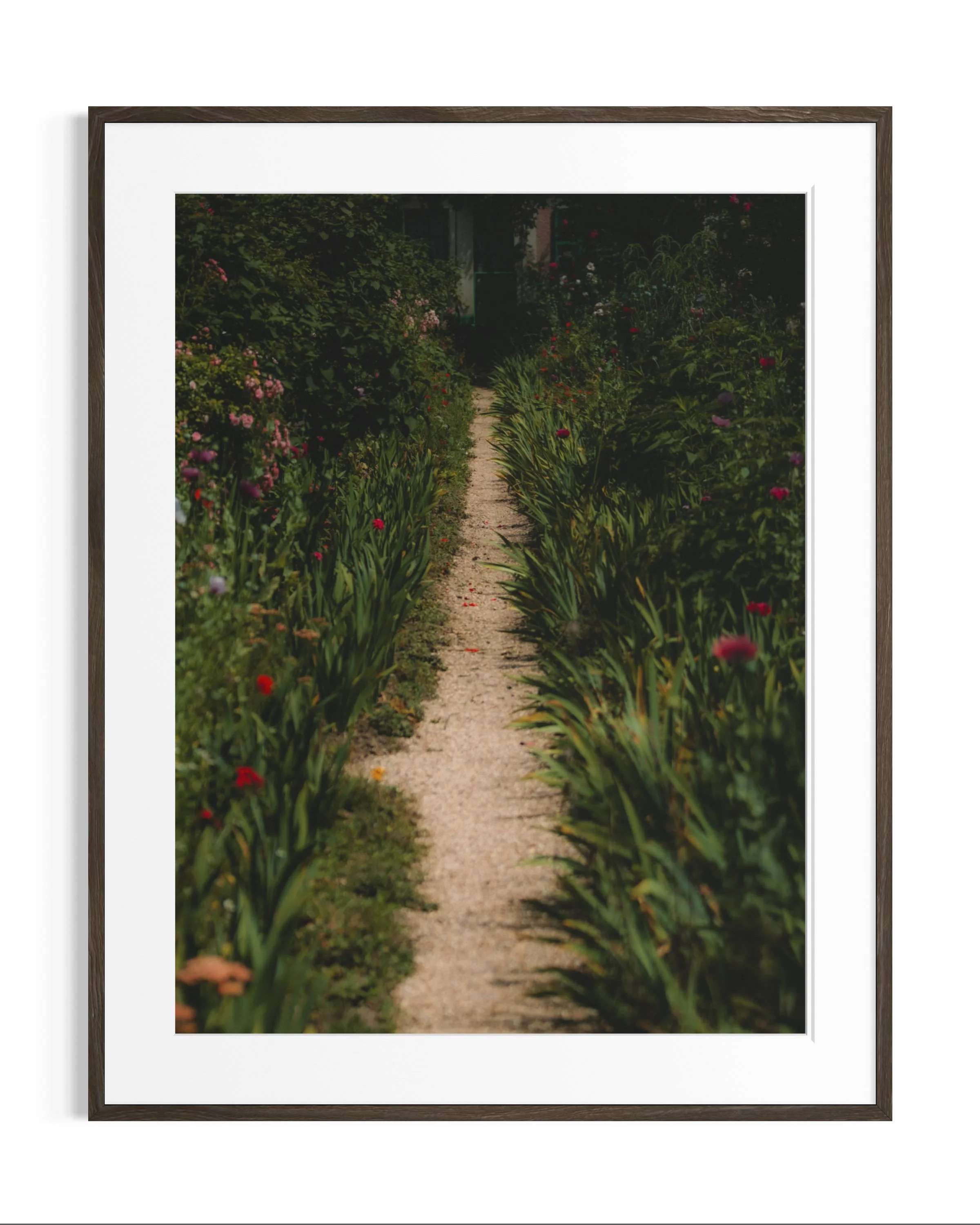 Giverny, in bloom · 9