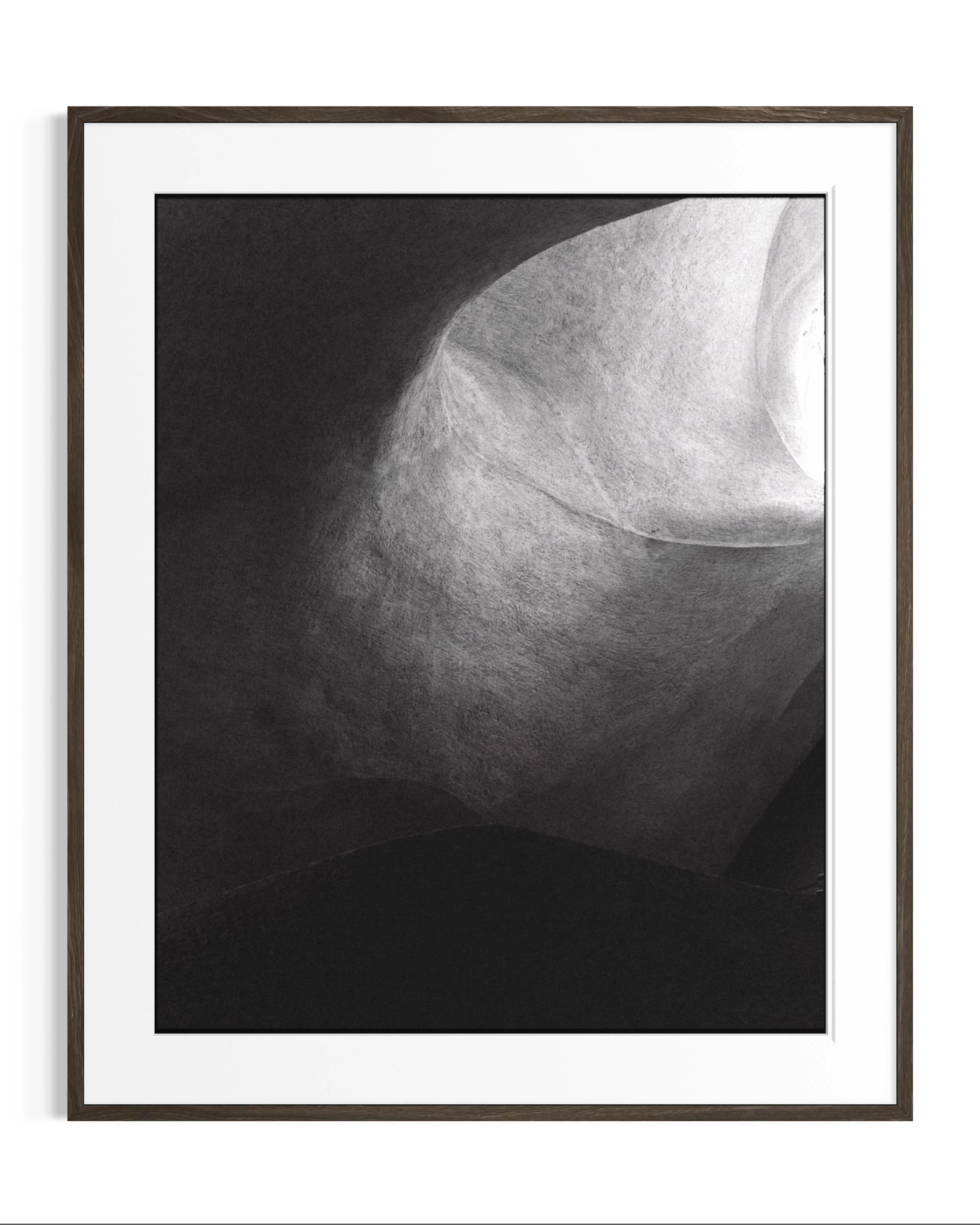 Forms of Natural History · 7