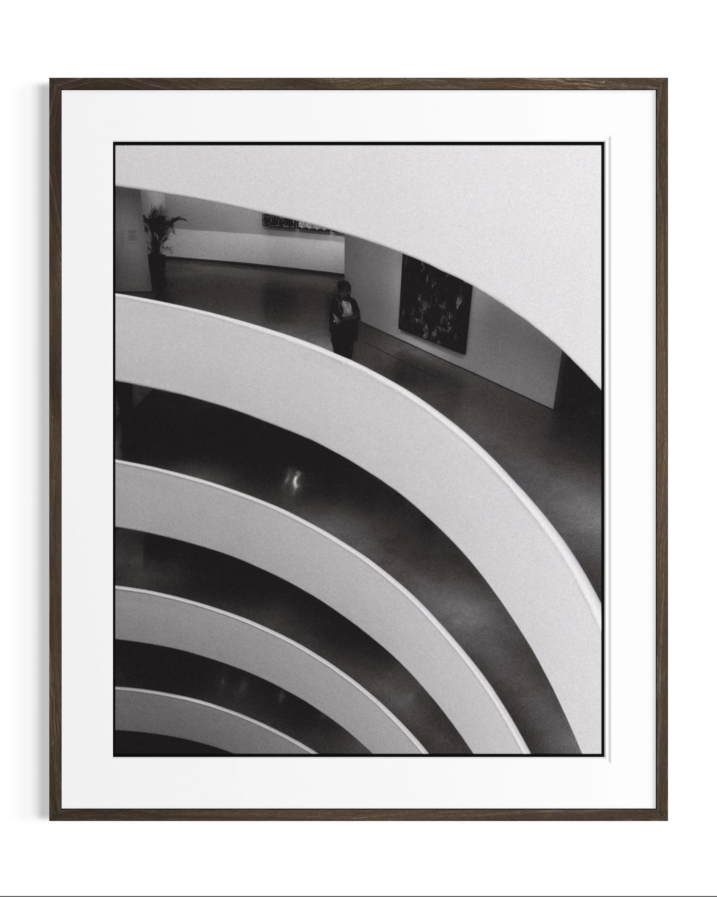 Forms of Guggenheim · 3