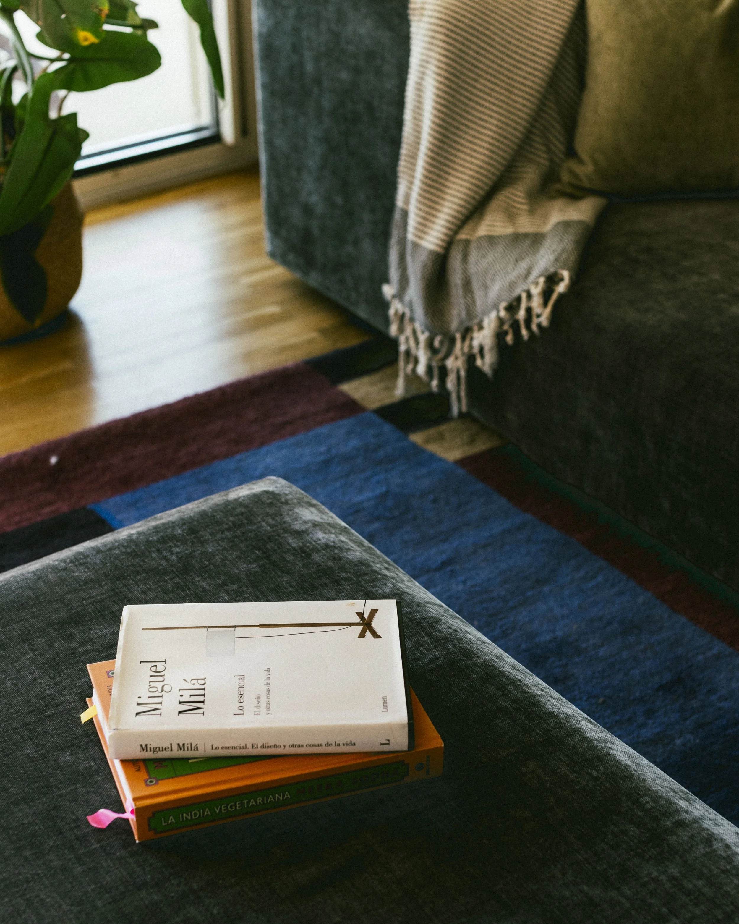 Francesc Carbonell·31.jpg