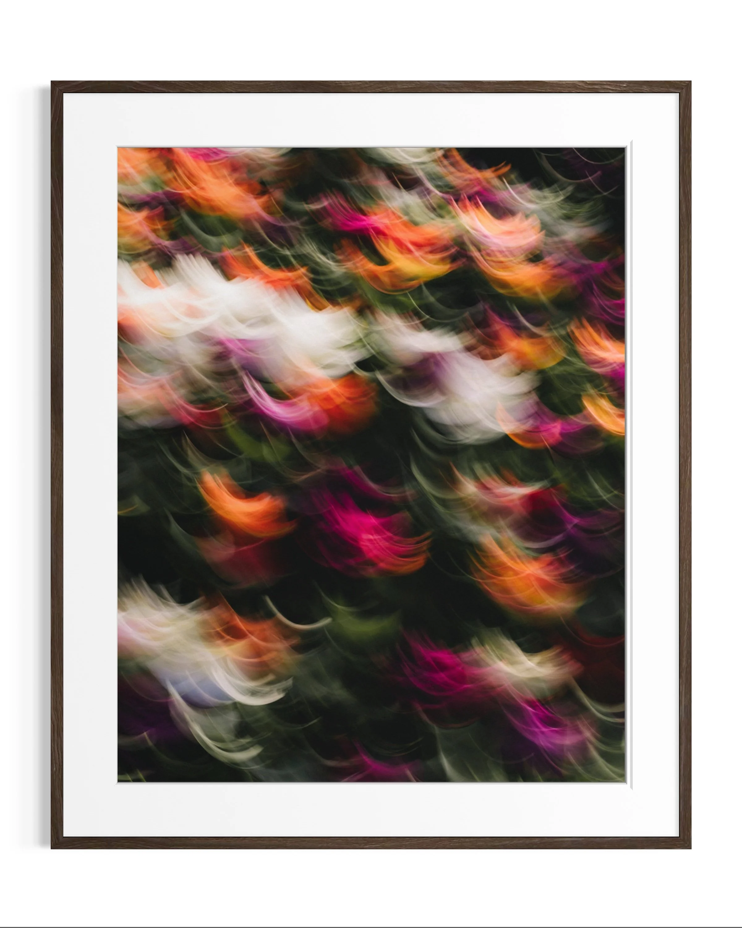 Flowers in Motion