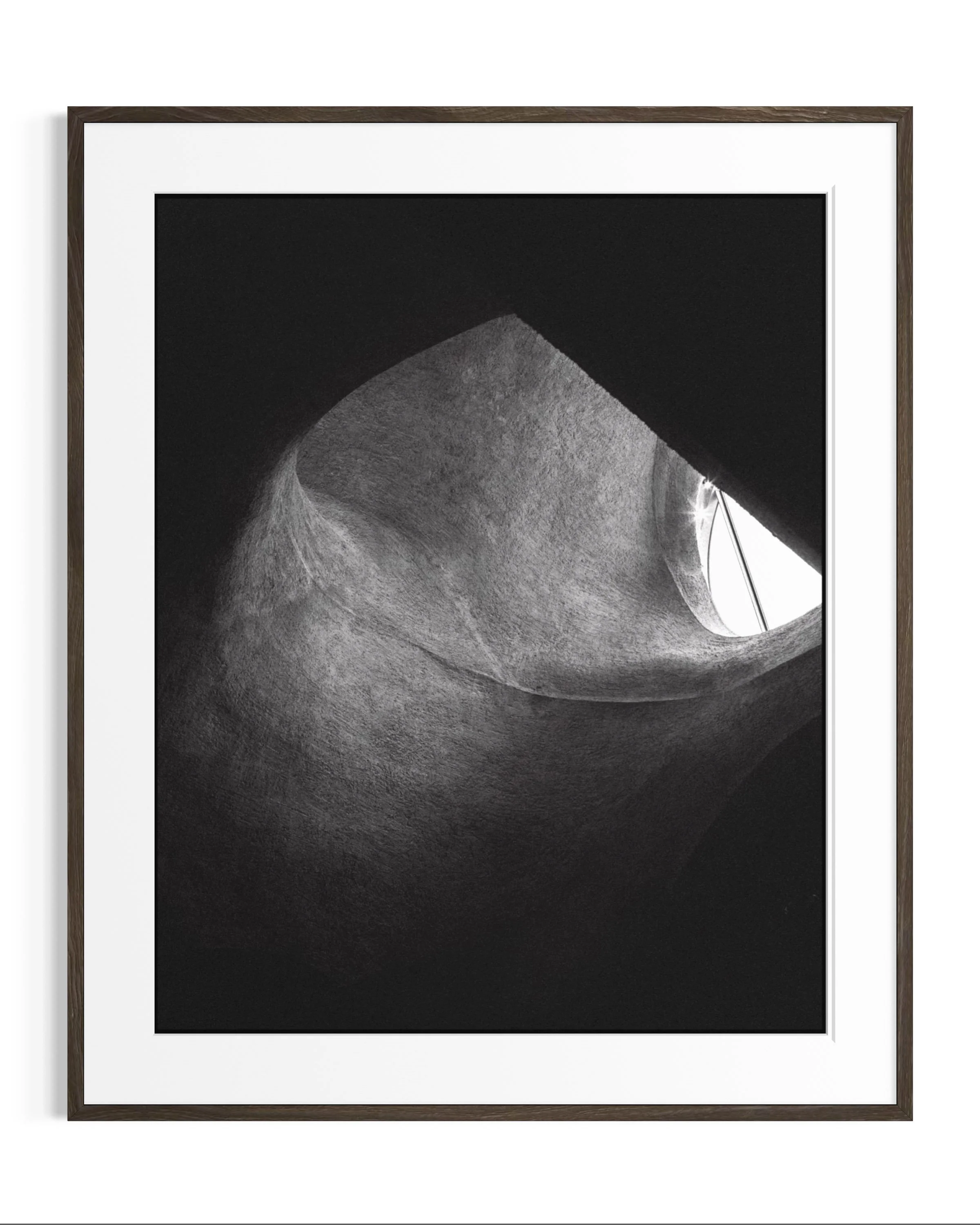 Forms of Natural History · 3