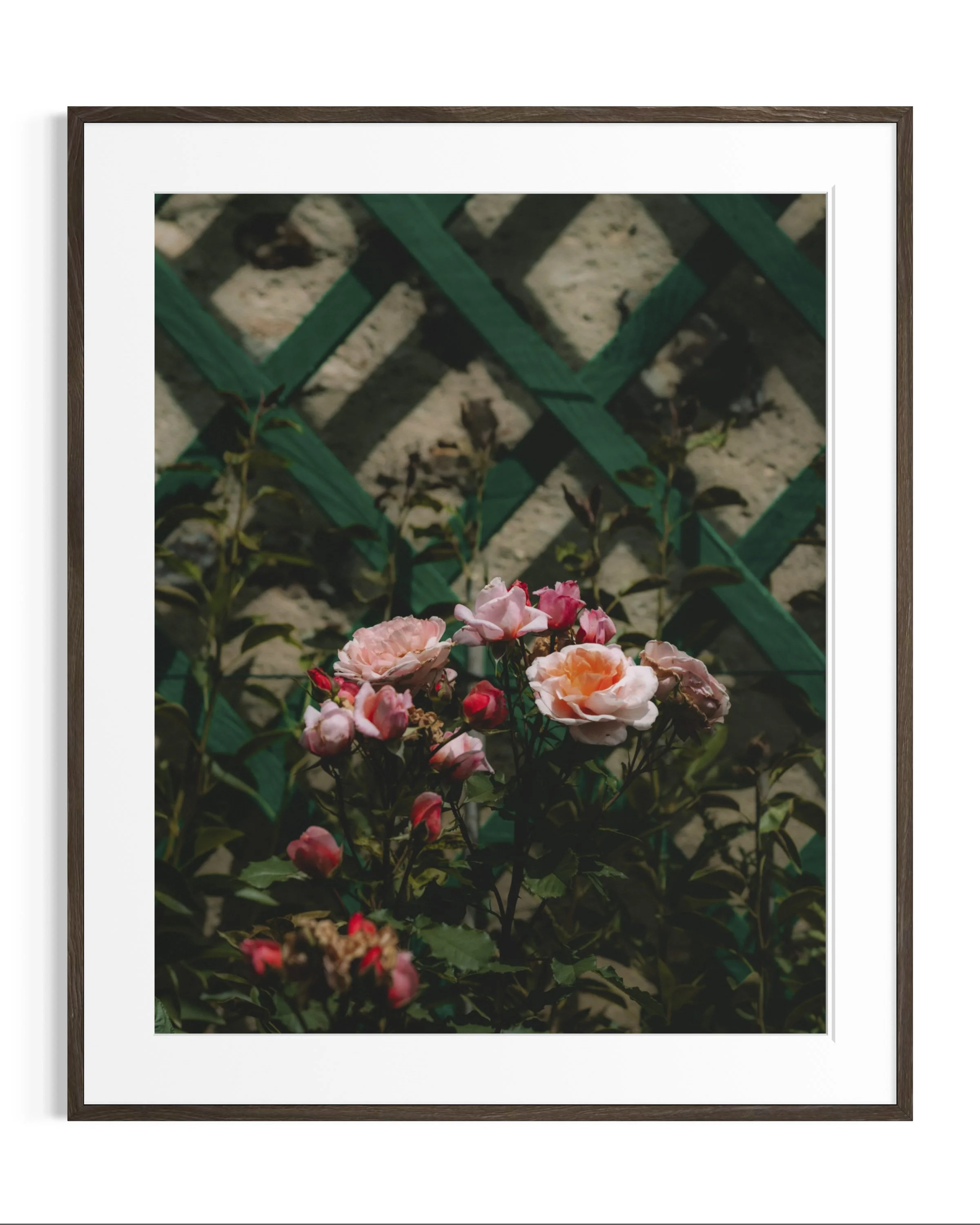 Giverny, in bloom · 17