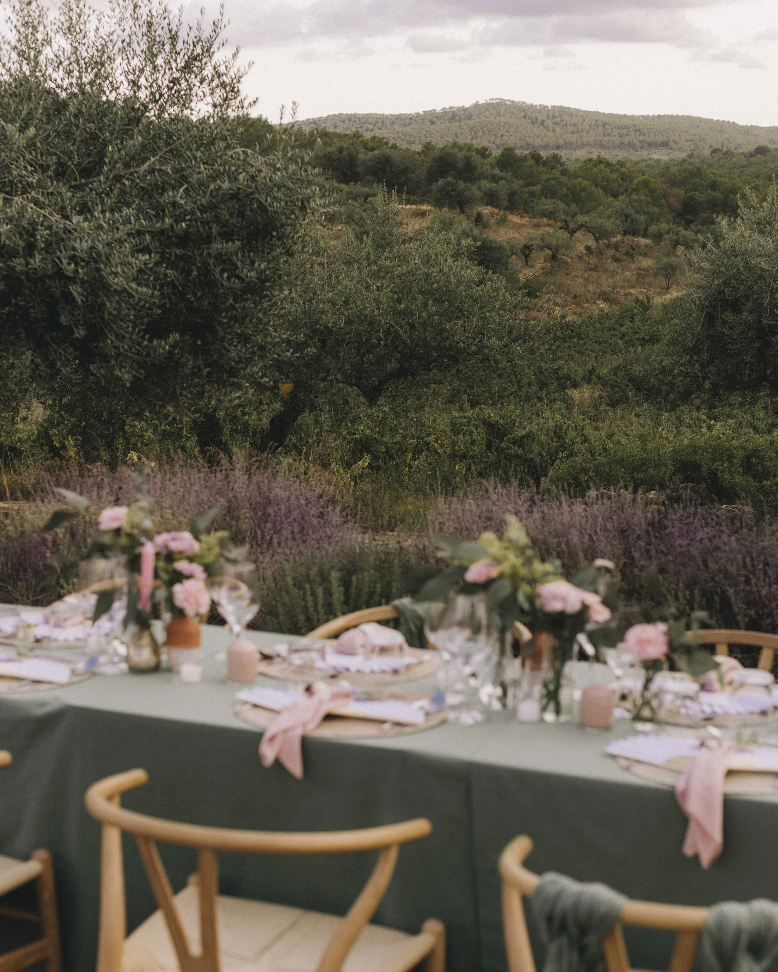 Dinner under the moon · Masia Cabellut