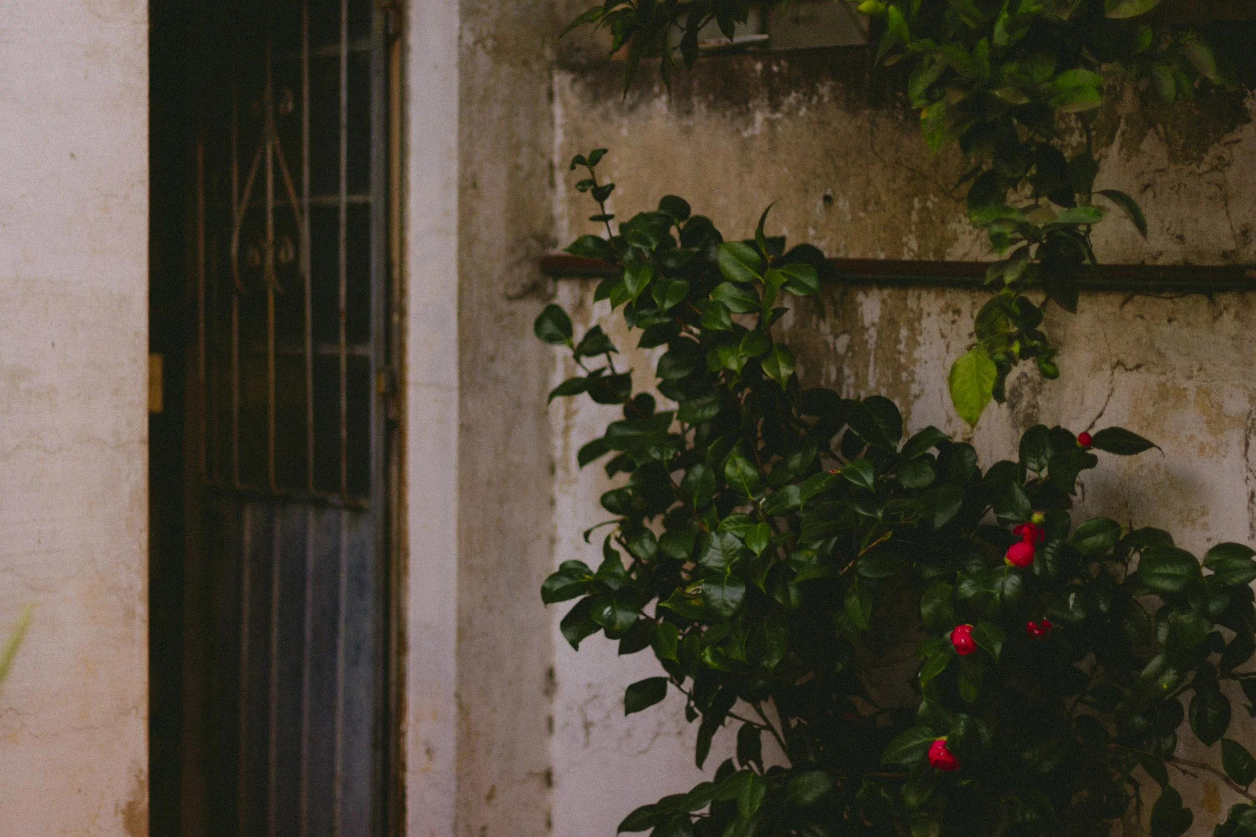 Espacios  vacios-41.jpg