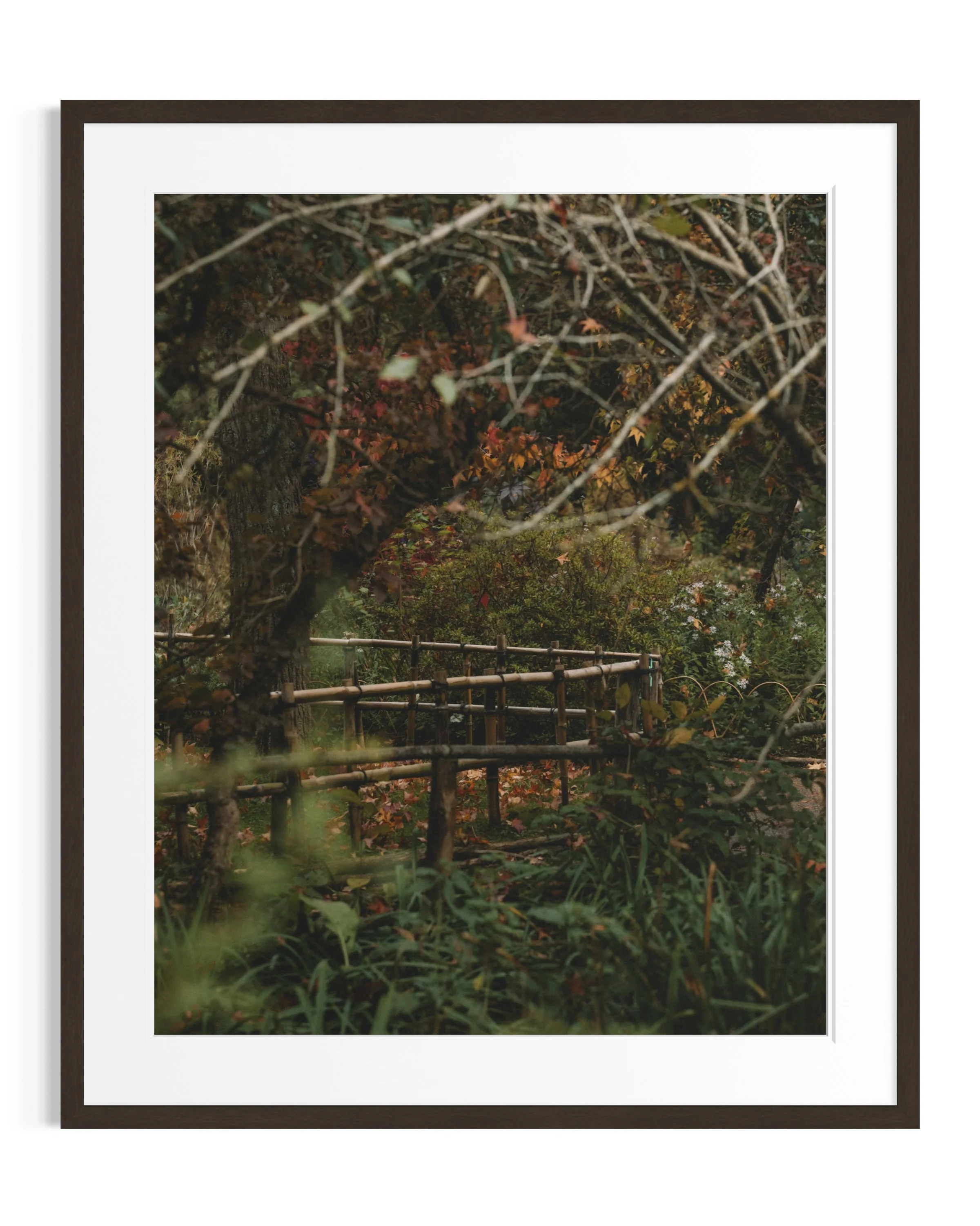 Giverny in amber tones · 21