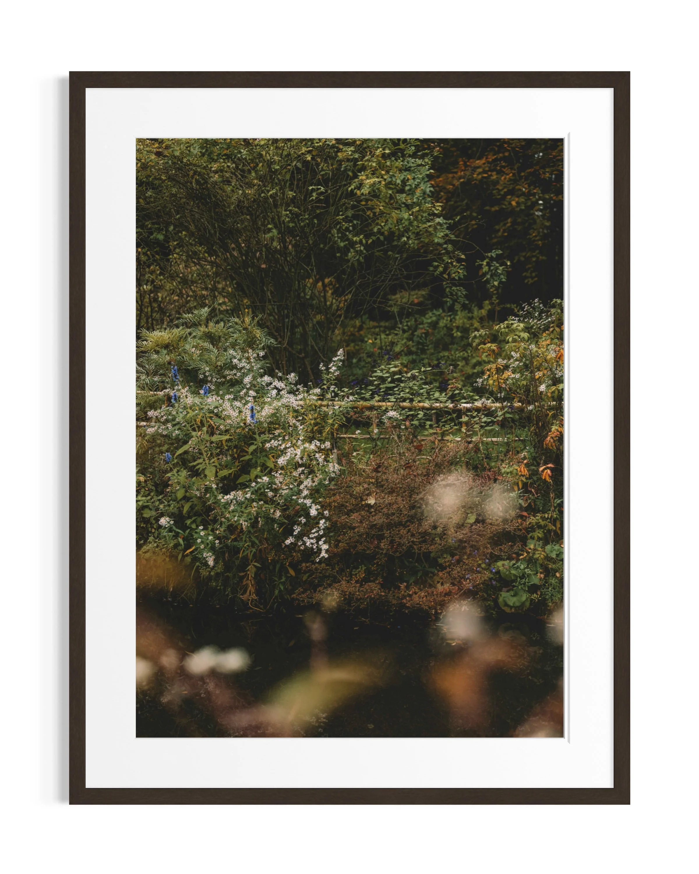 Giverny in amber tones · 6