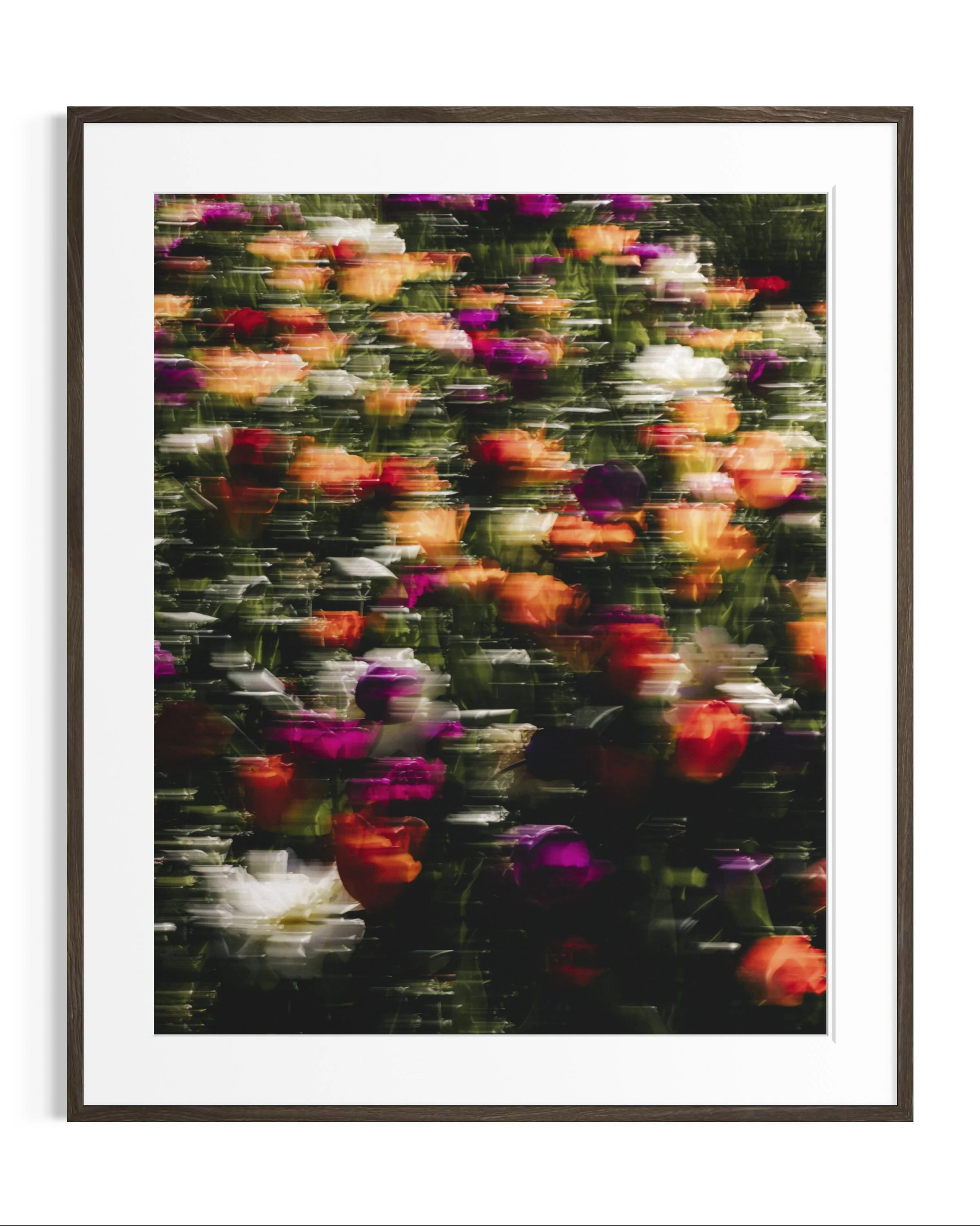 Flowers in motion · 8