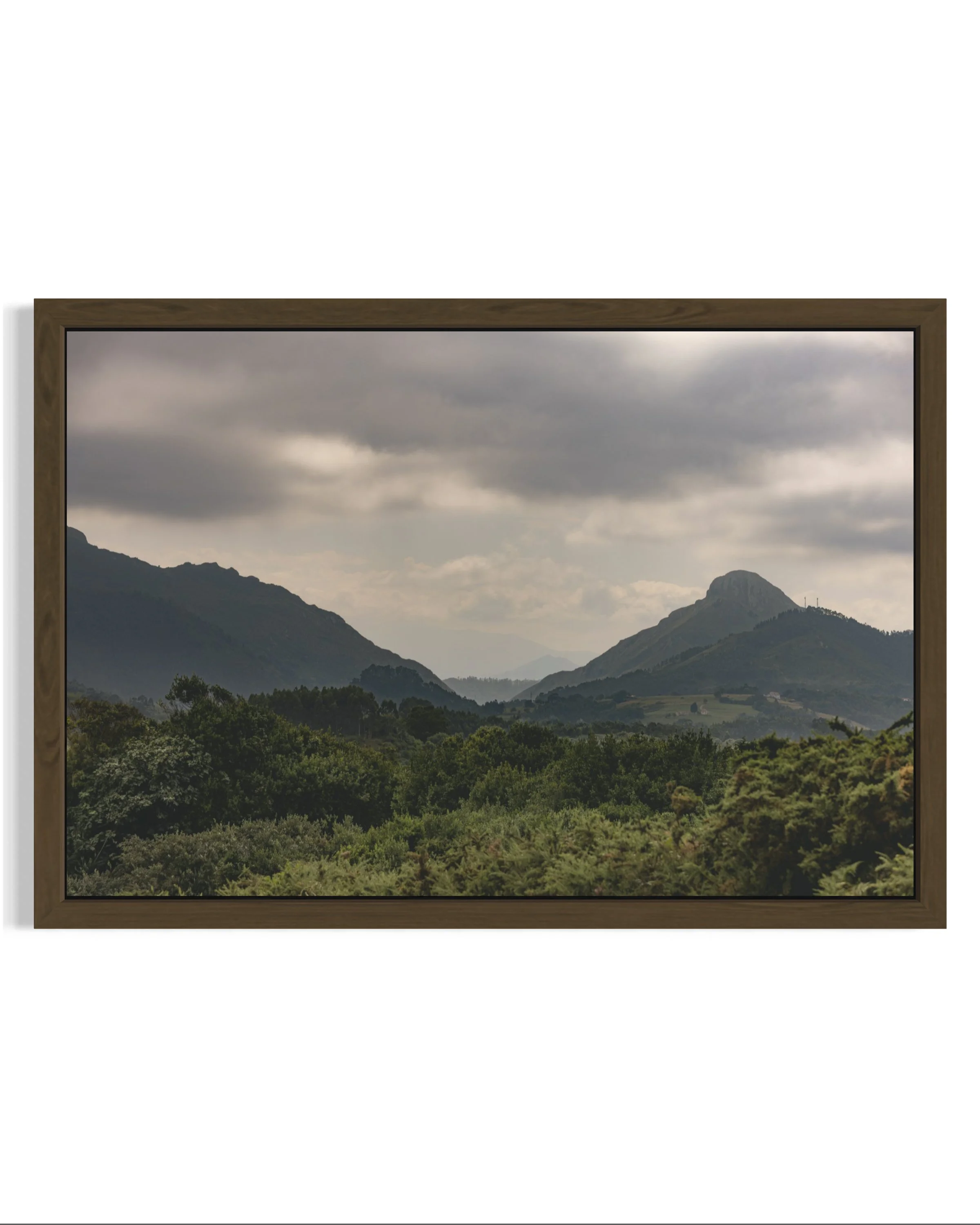 Cantabria · 15