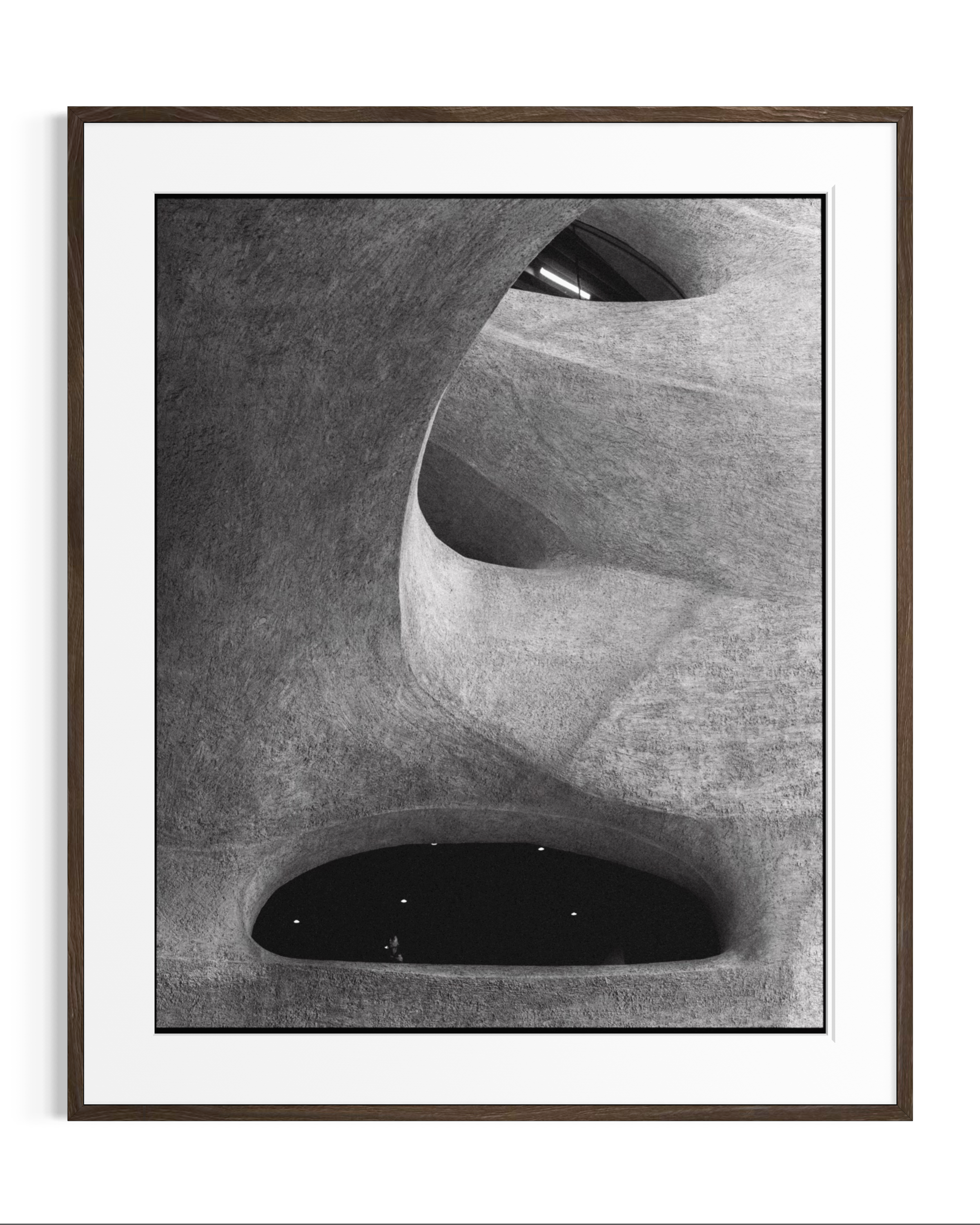 Forms of Natural History