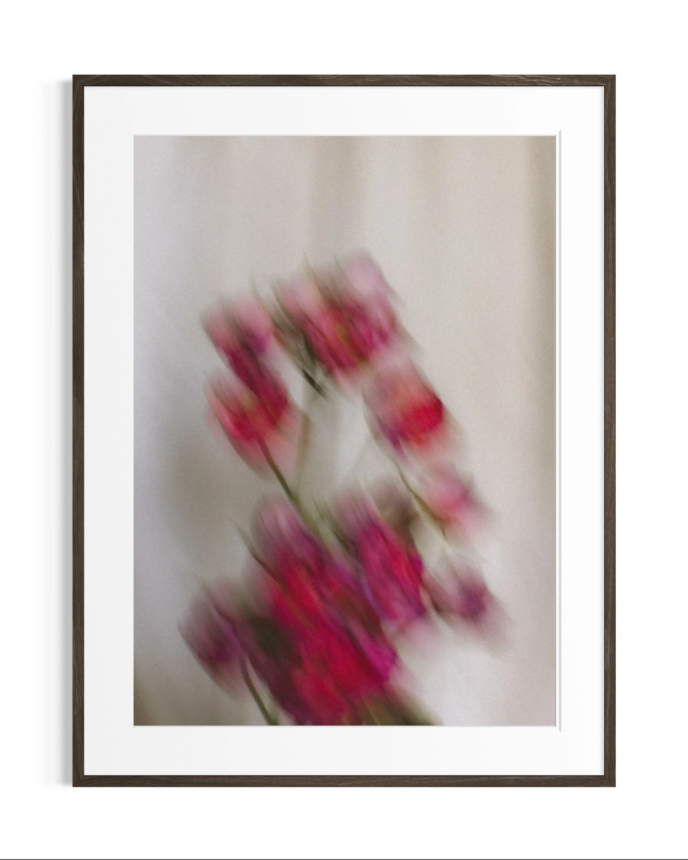 Still life studies · 10