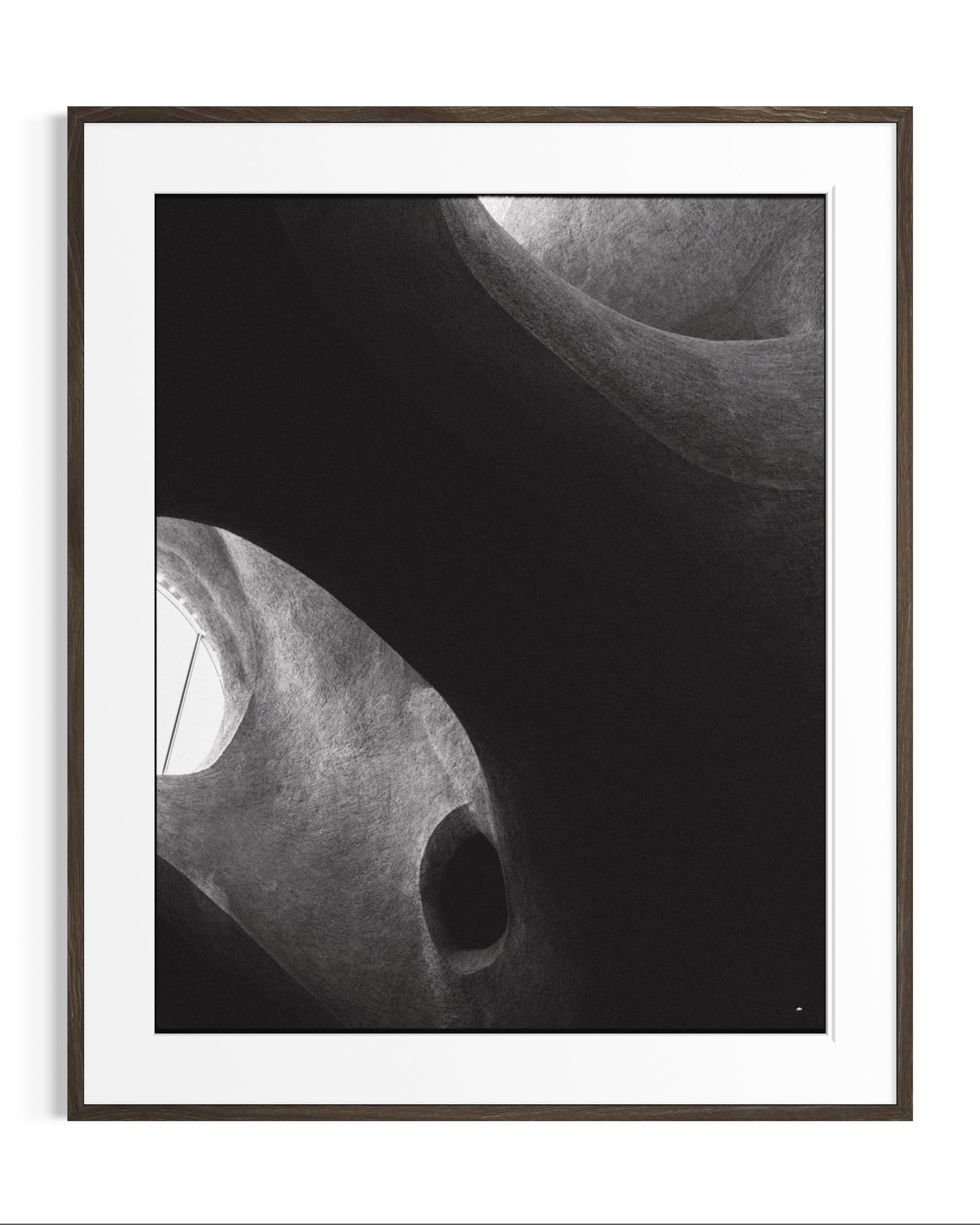 Forms of Natural History · 5