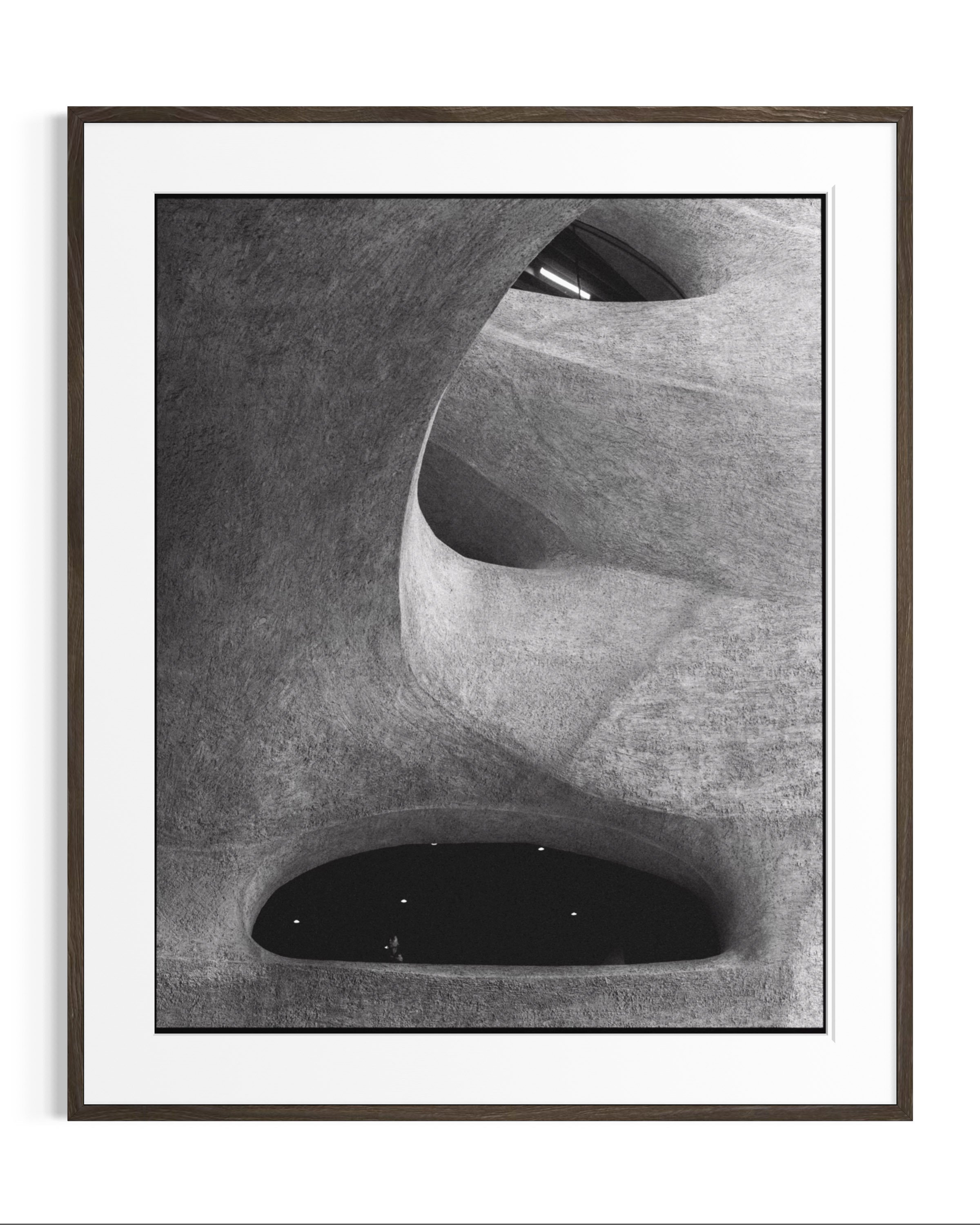 Forms of Natural History · 1