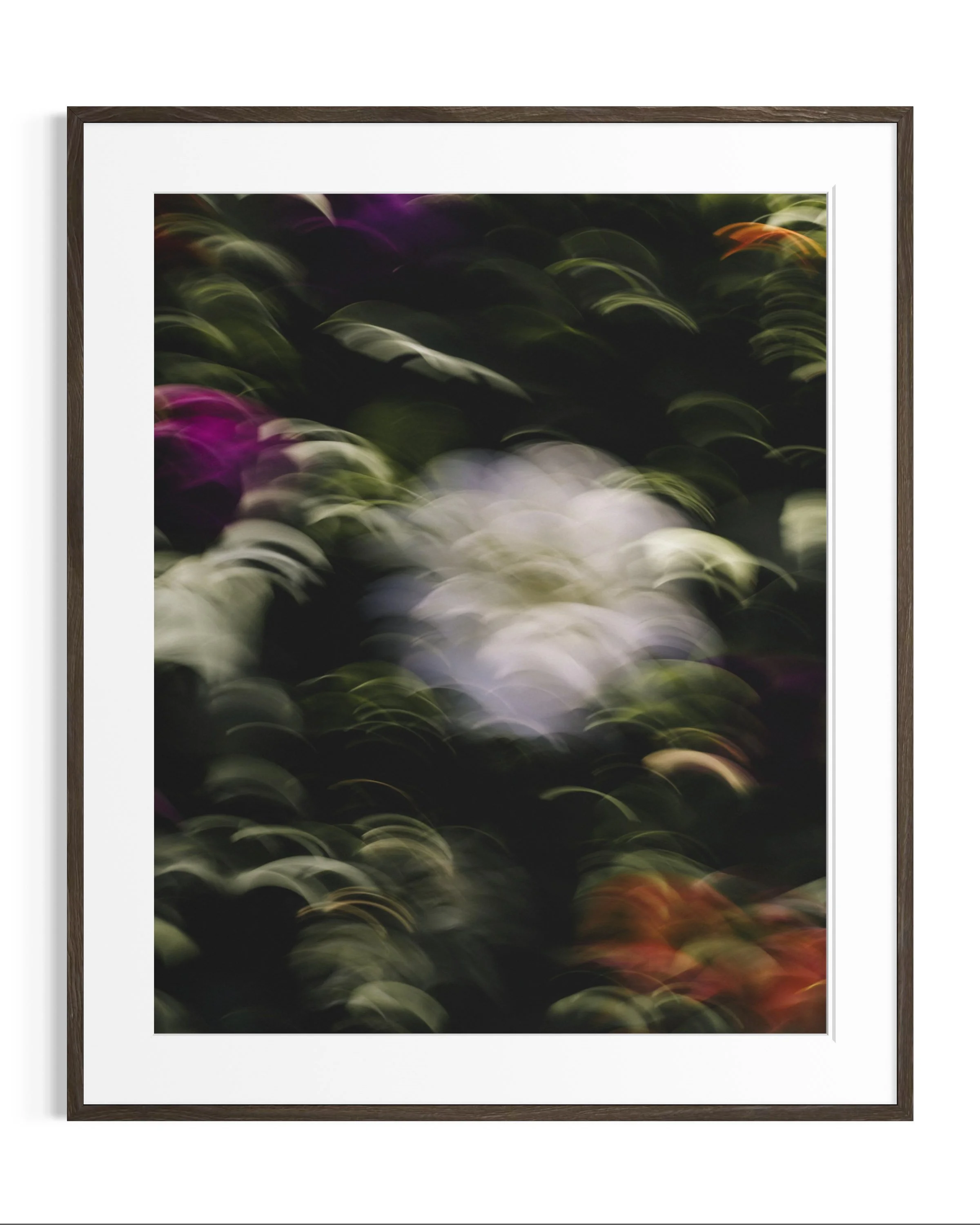 Flowers in motion · 2