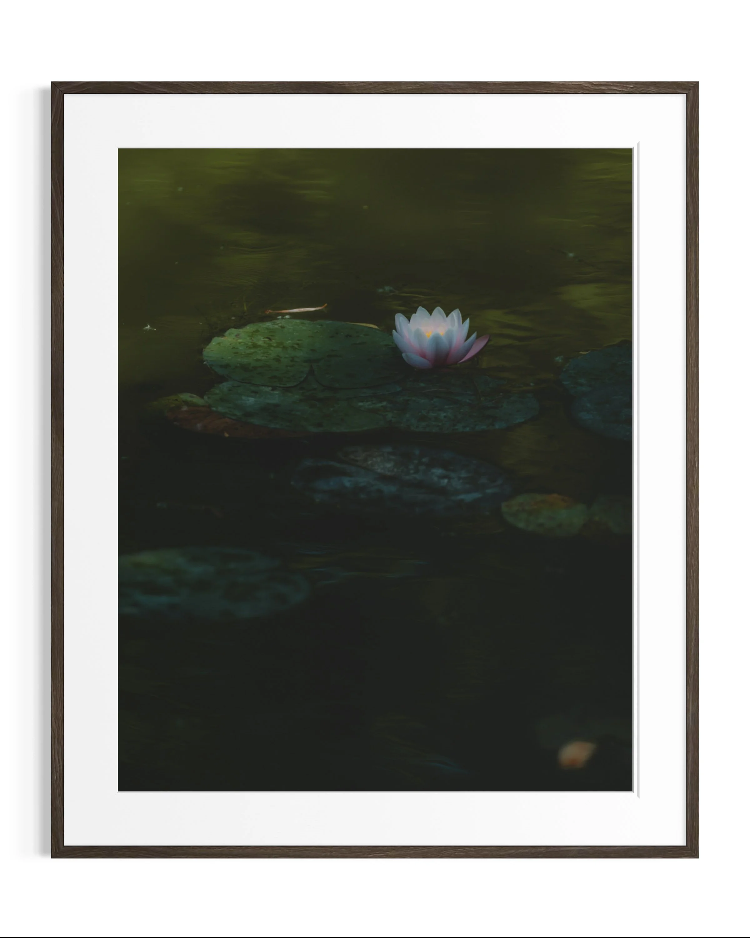 Giverny, in bloom · 23