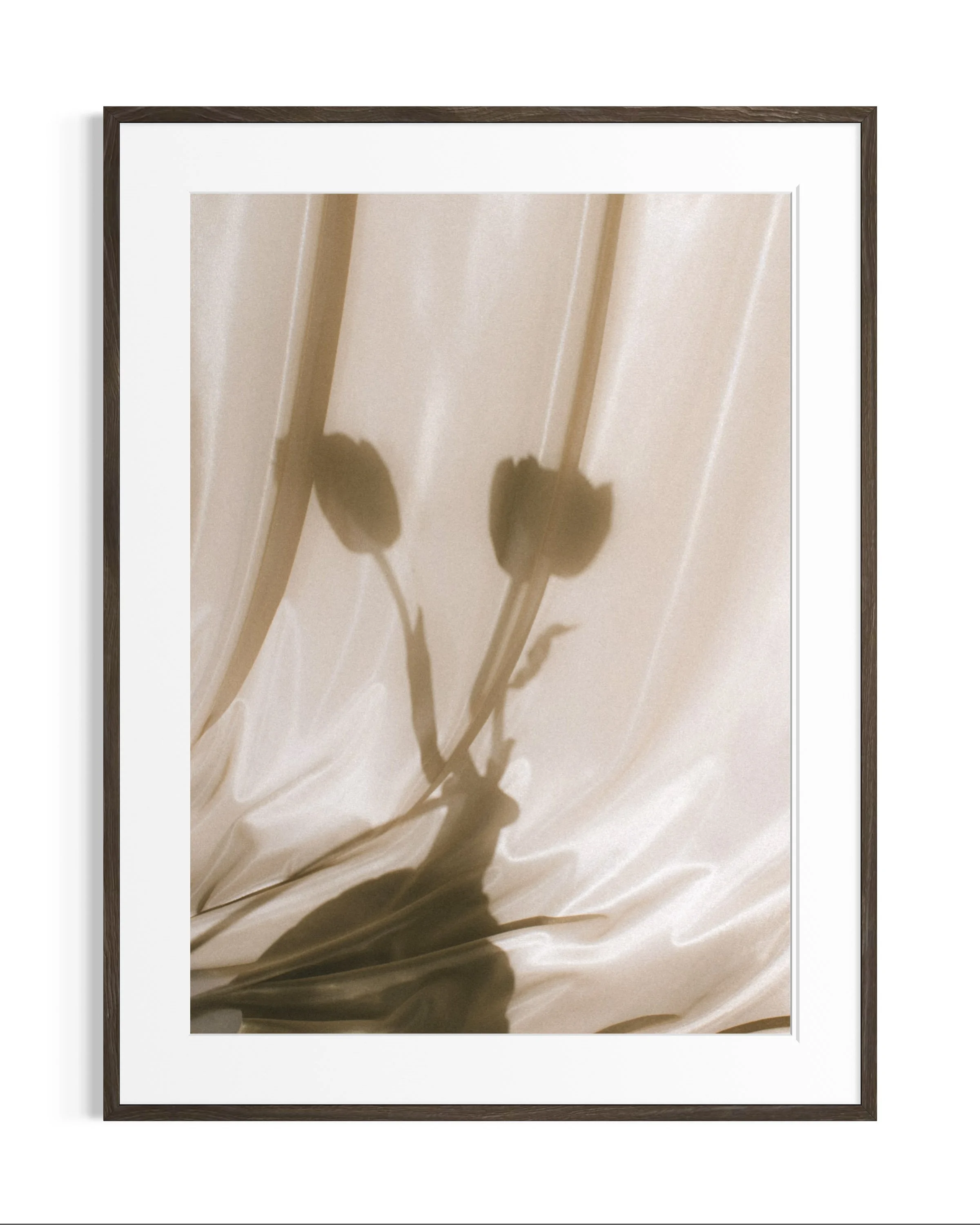 Still life studies · 6