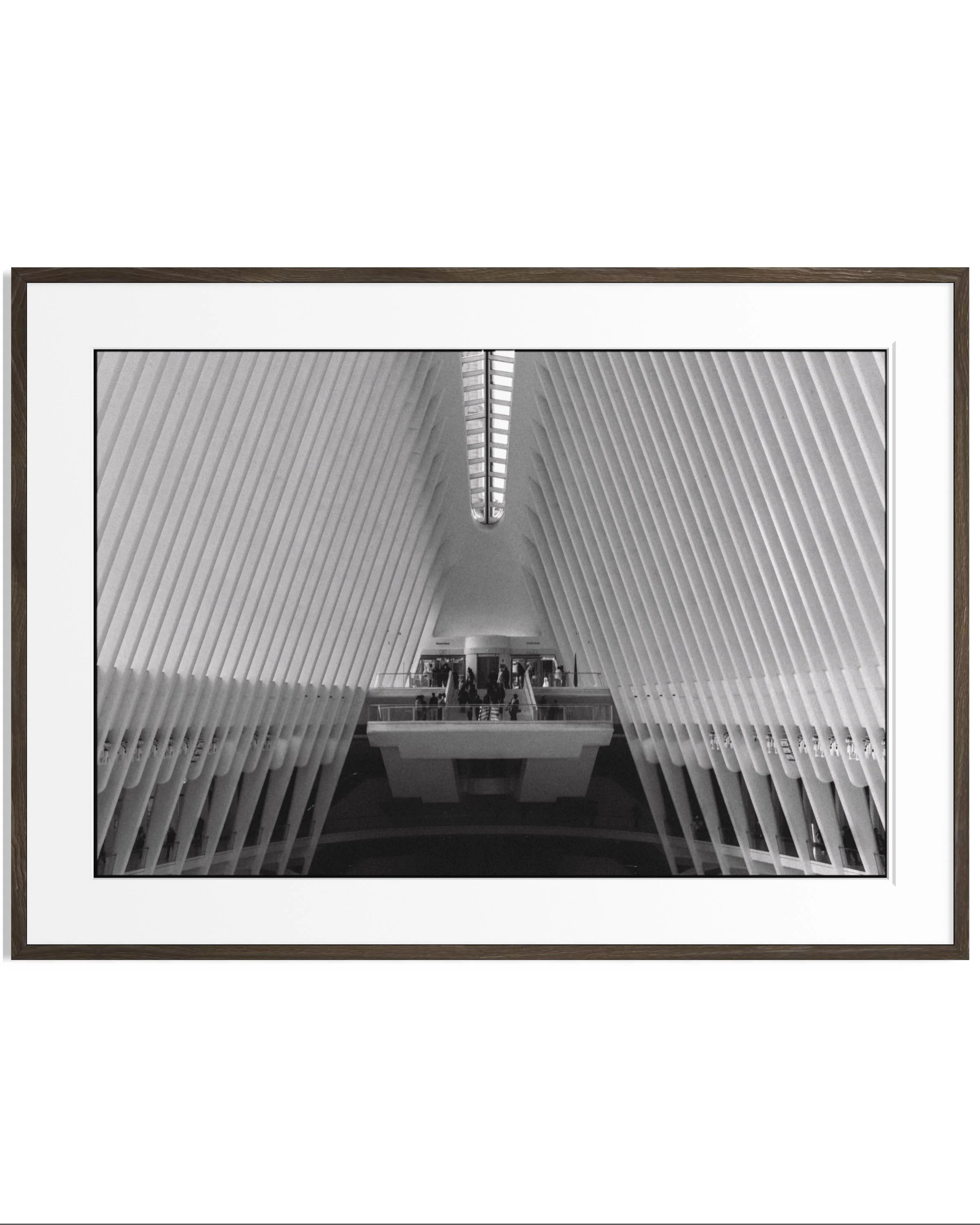 NYC in monochrome · 15