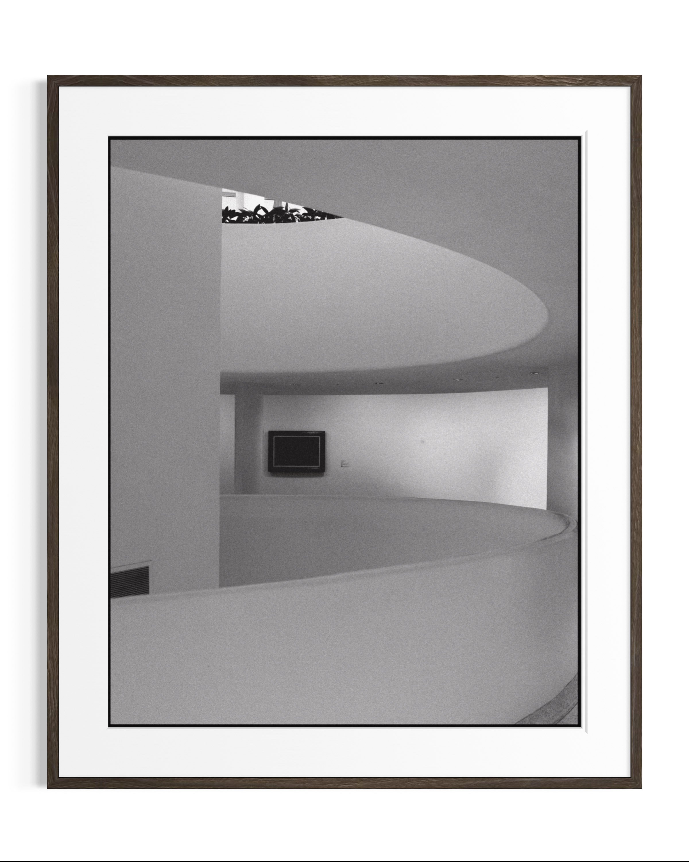 Forms of Guggenheim · 2