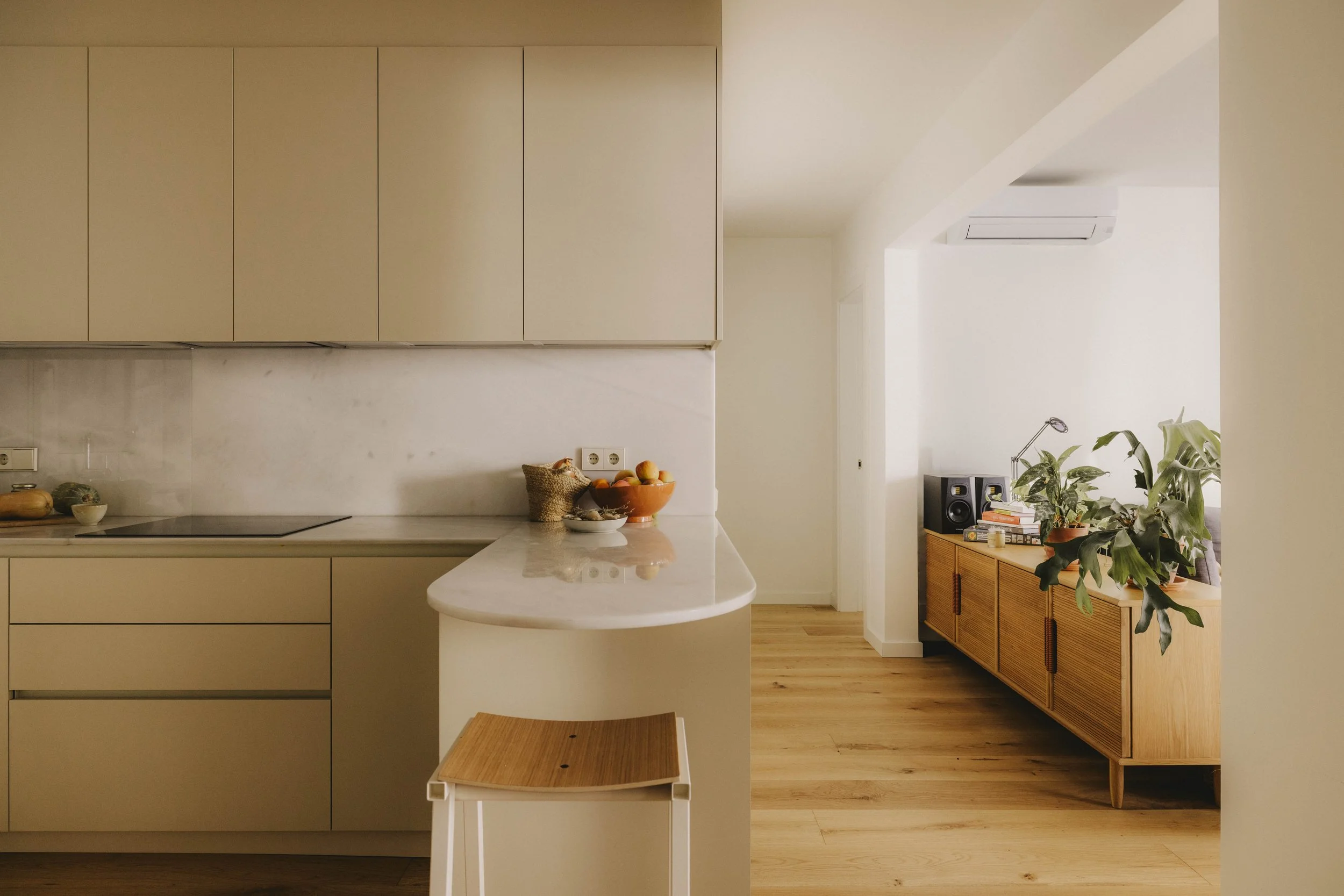 Aulestia i Pijoan ·3.jpg