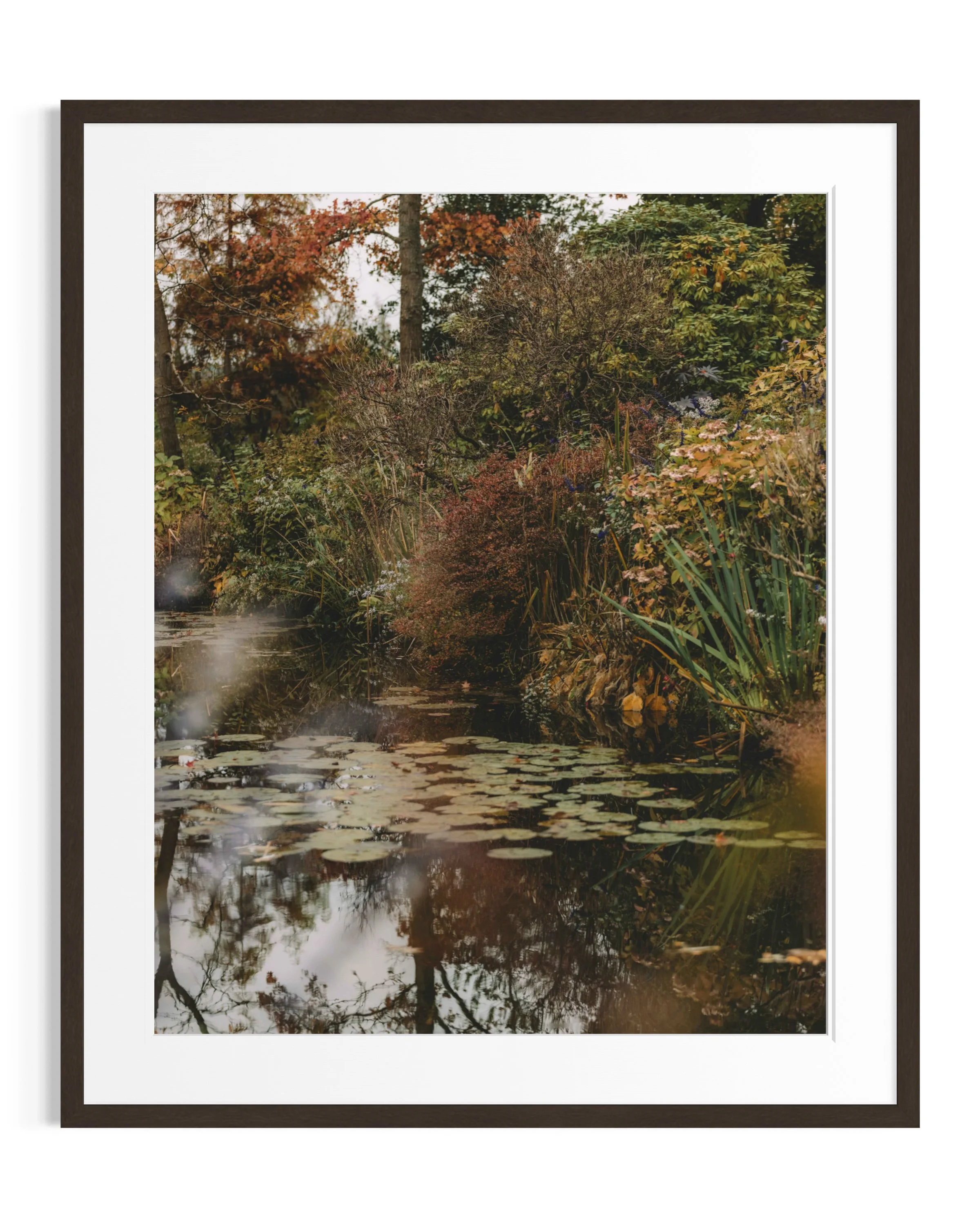 Giverny in amber tones · 7