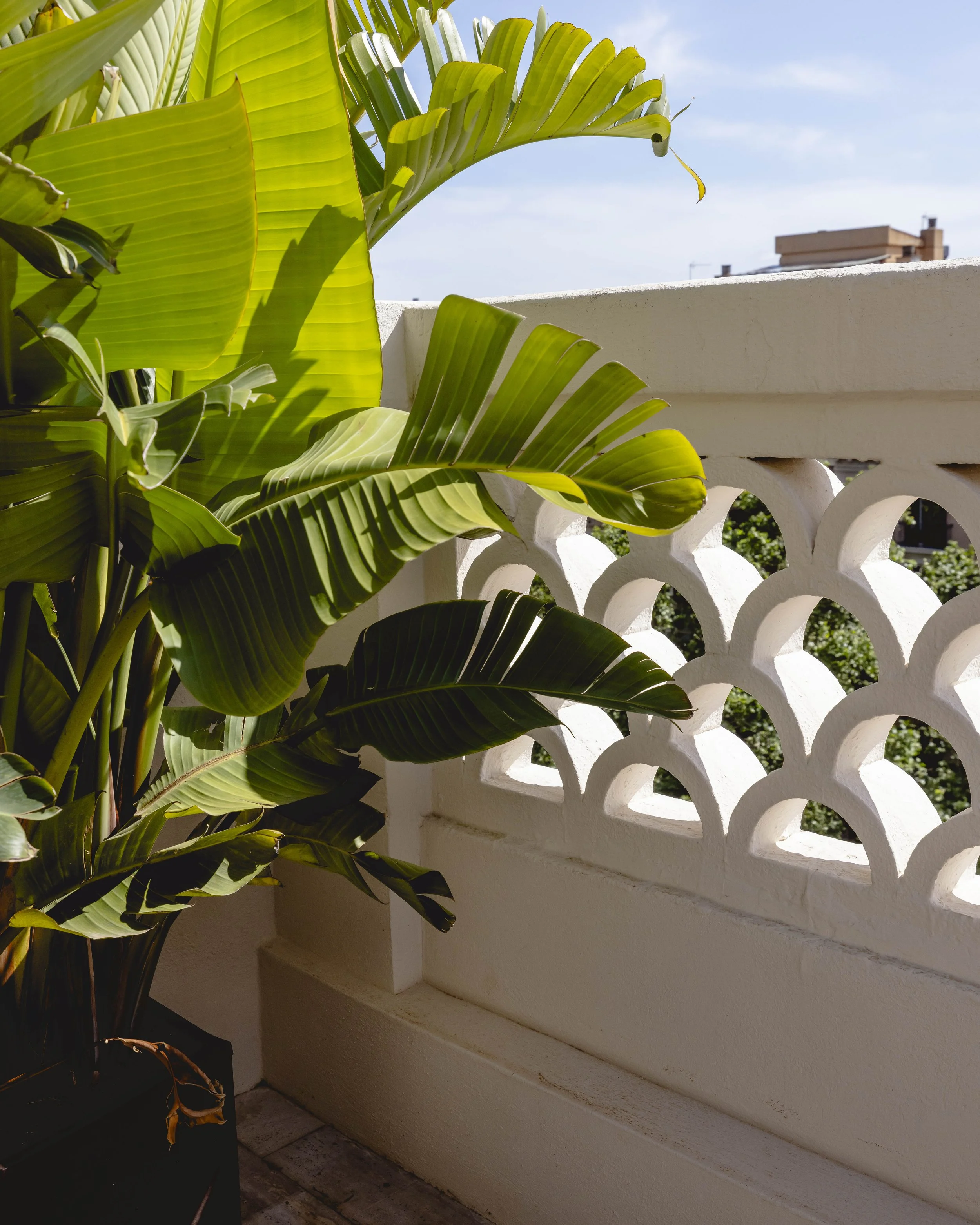 Paseo Sant Joan ·7.jpg