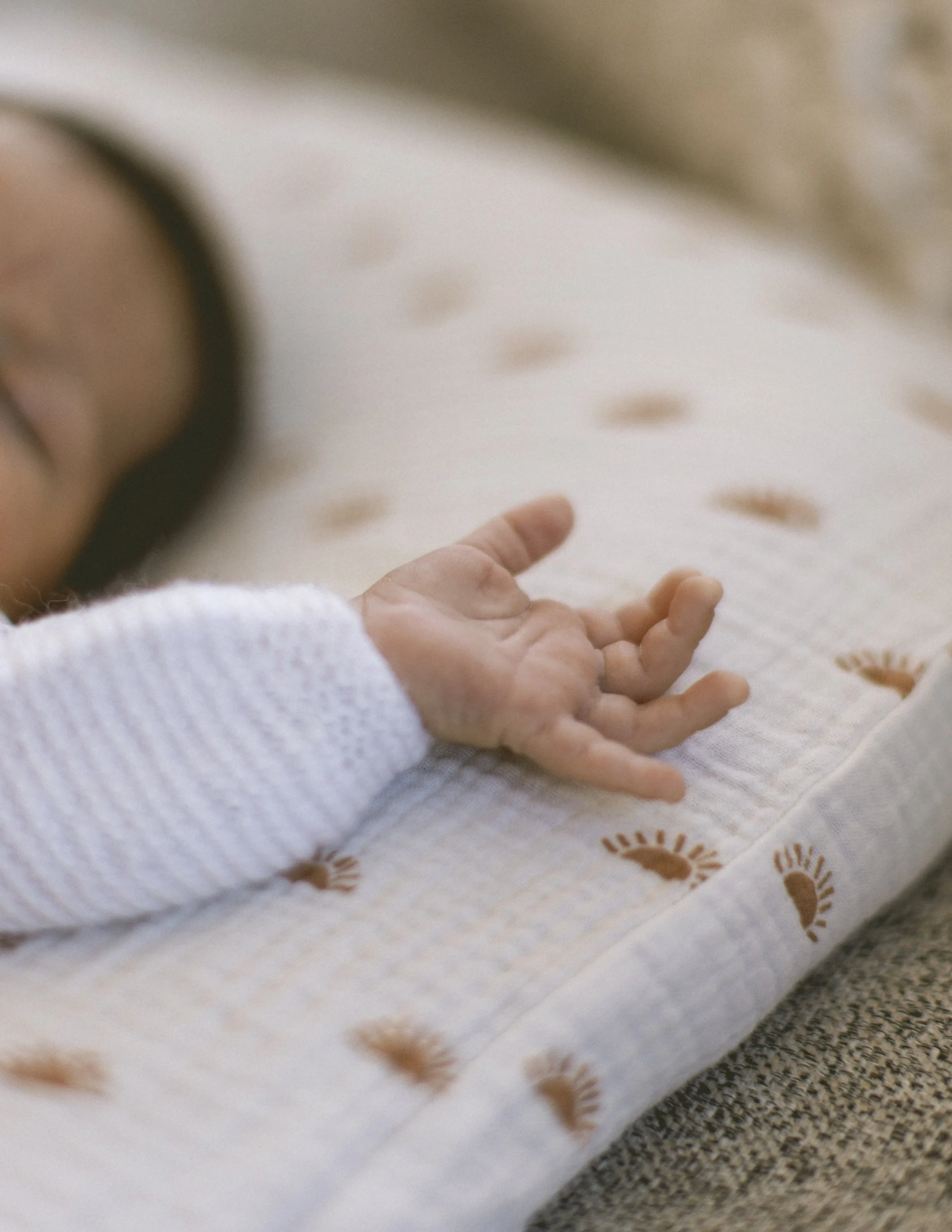Baby Teo · Baja ·1.jpg