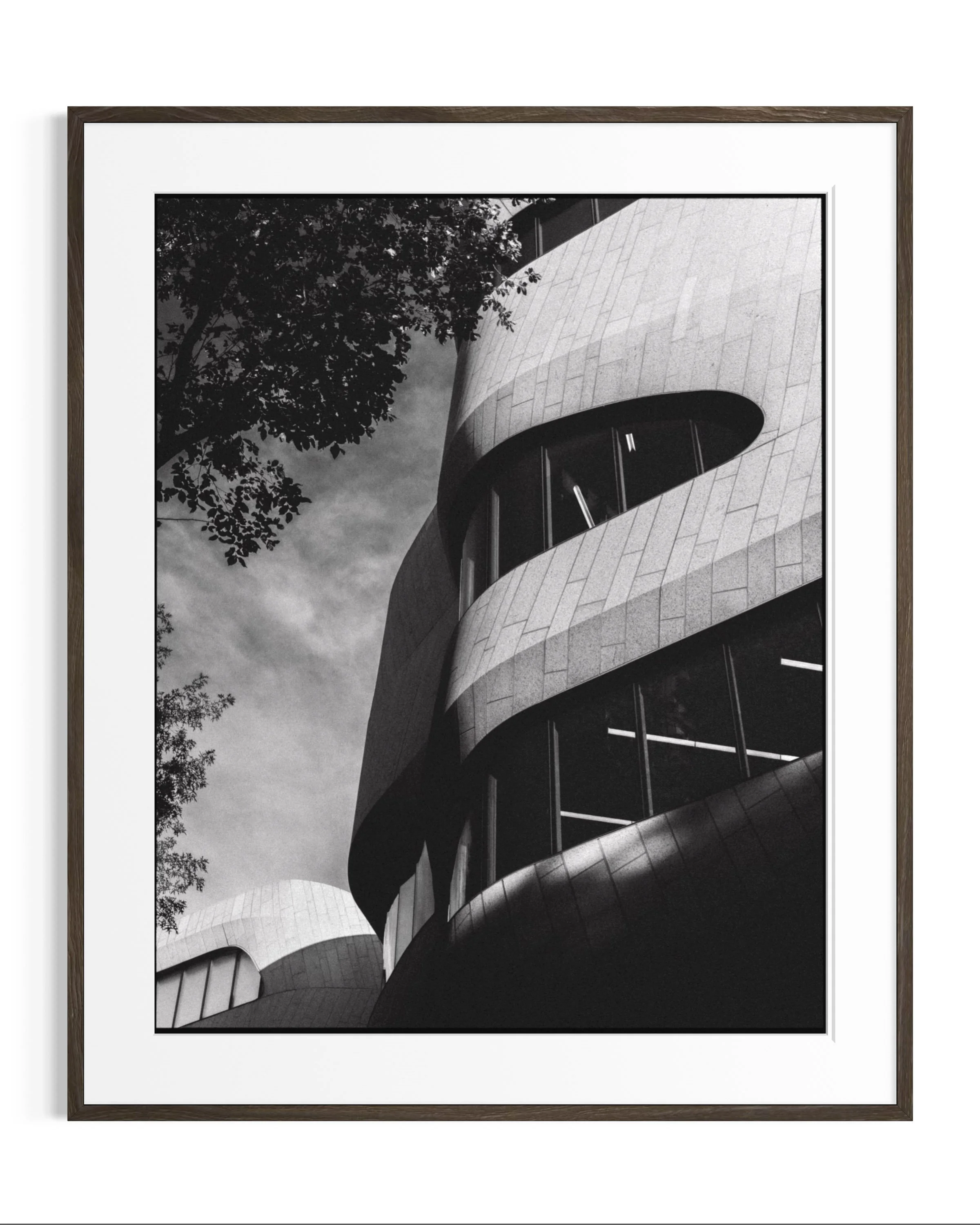 Forms of Natural History · 10