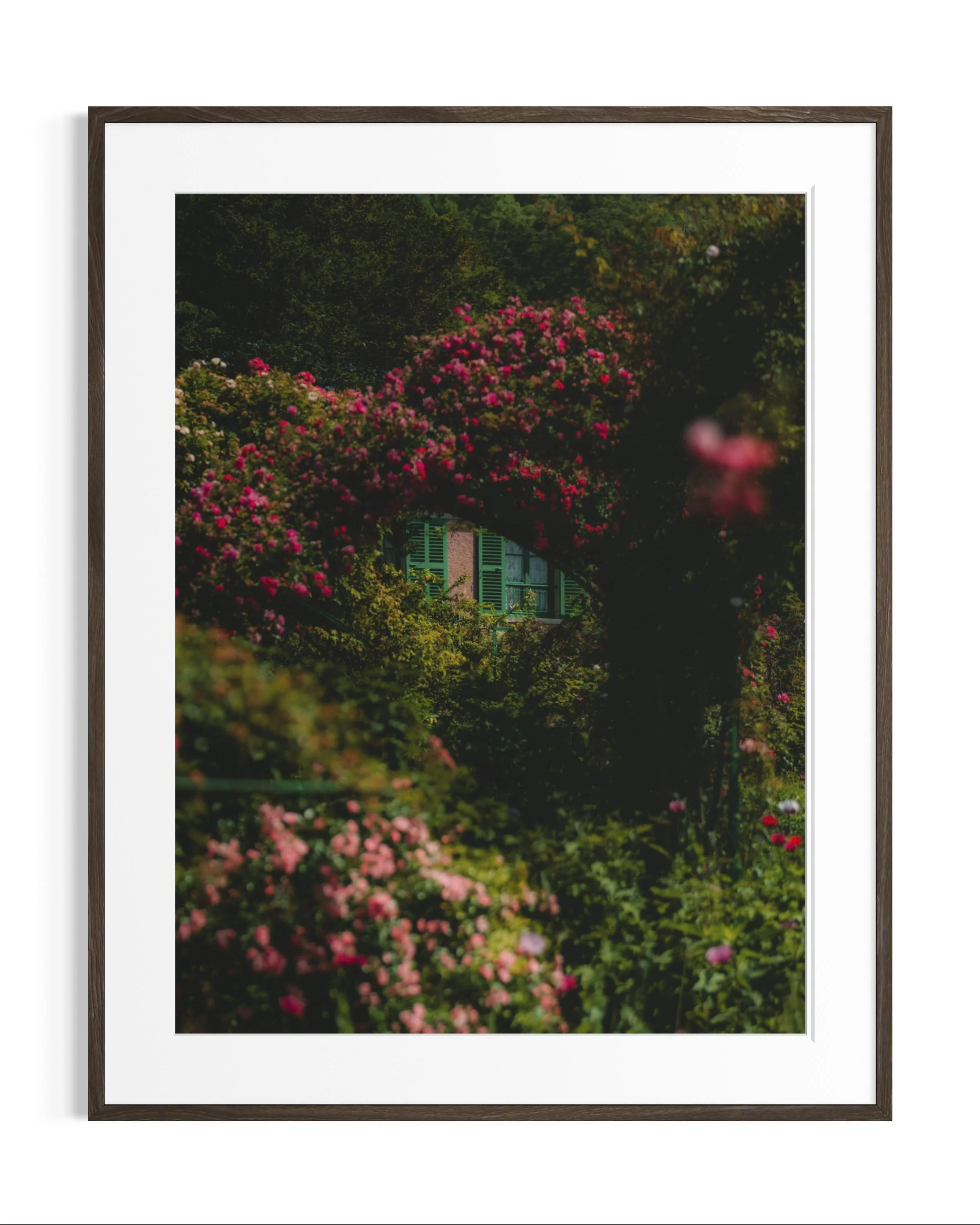 Giverny, in bloom · 3