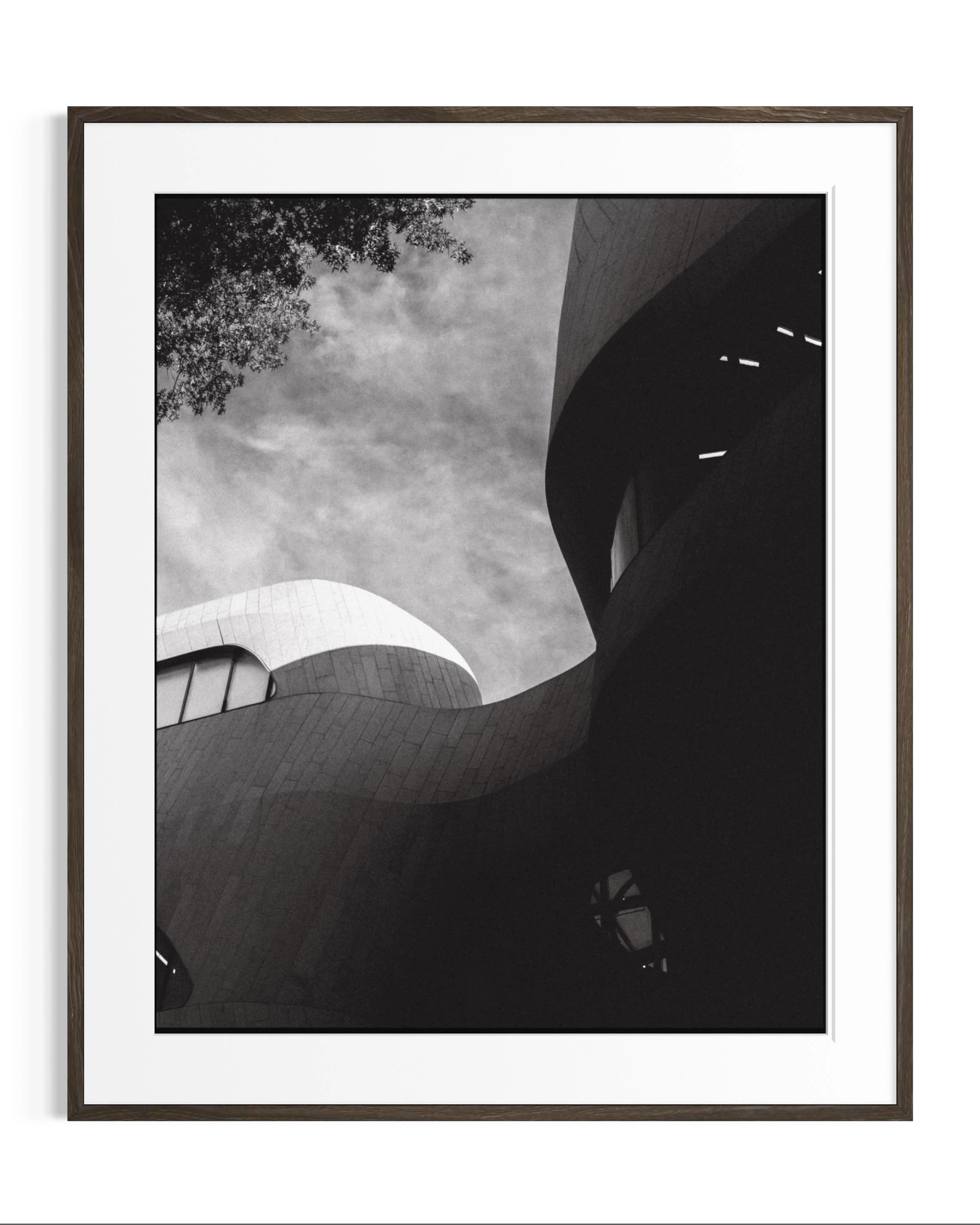 Forms of Natural History · 9